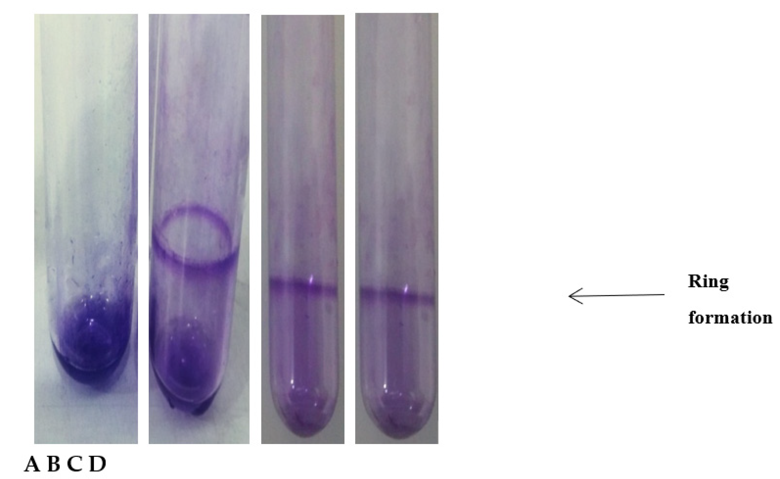 Coatings 11 01544 g003