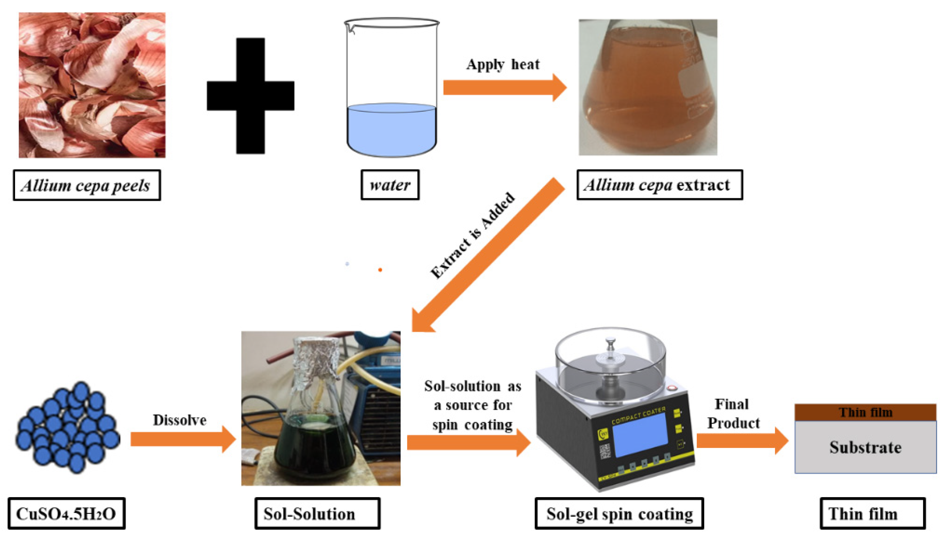 Coatings 11 01545 g001 550