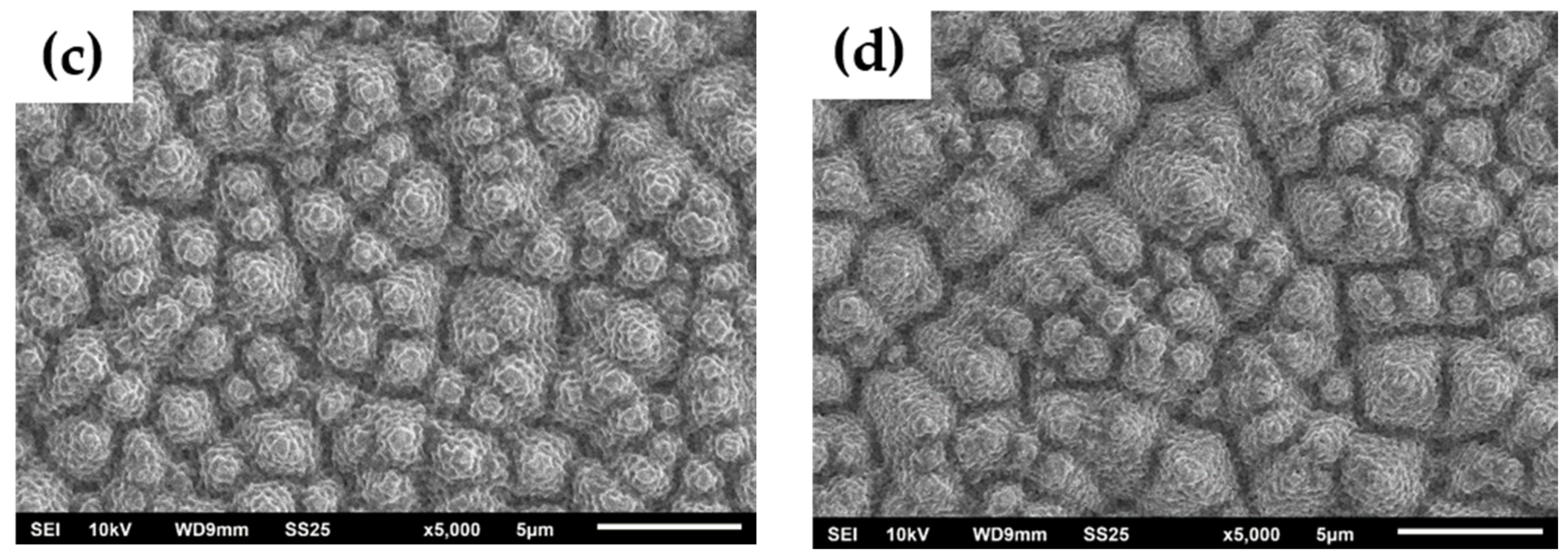 Coatings 11 01546 g001b 550