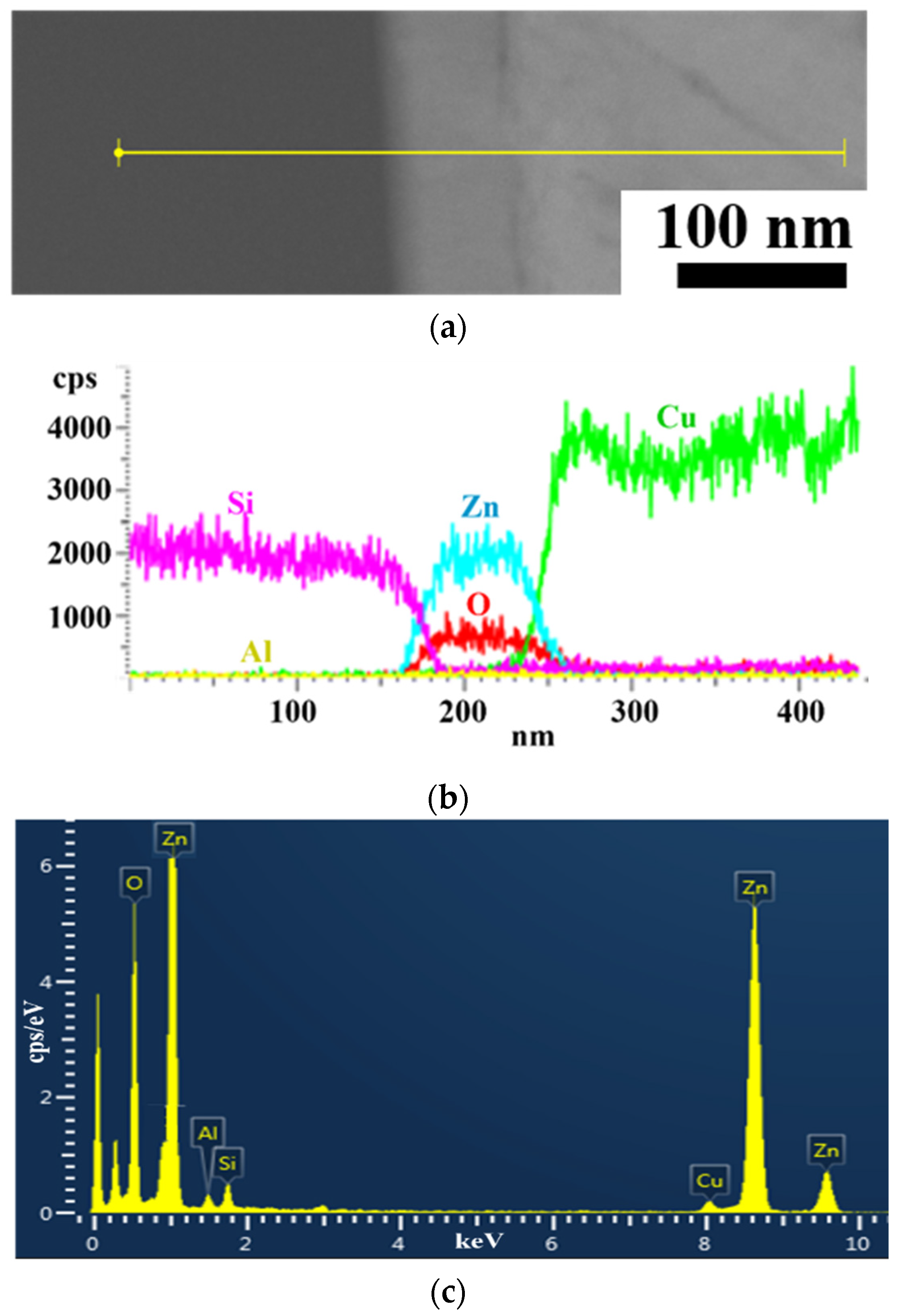 Coatings 11 01546 g004 550
