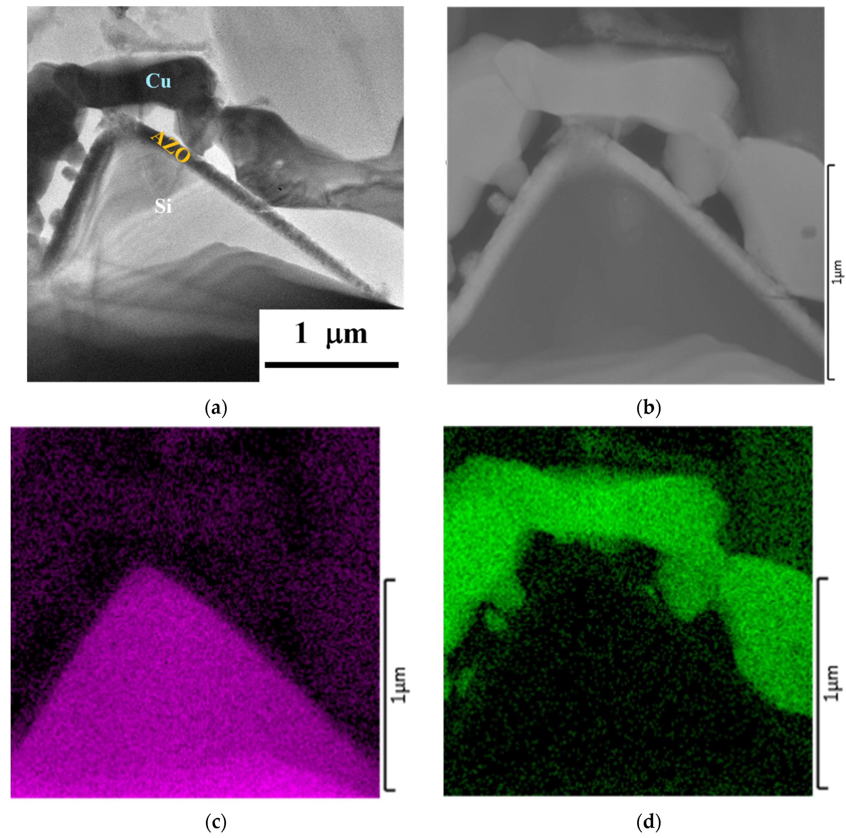 Coatings 11 01546 g005a 550
