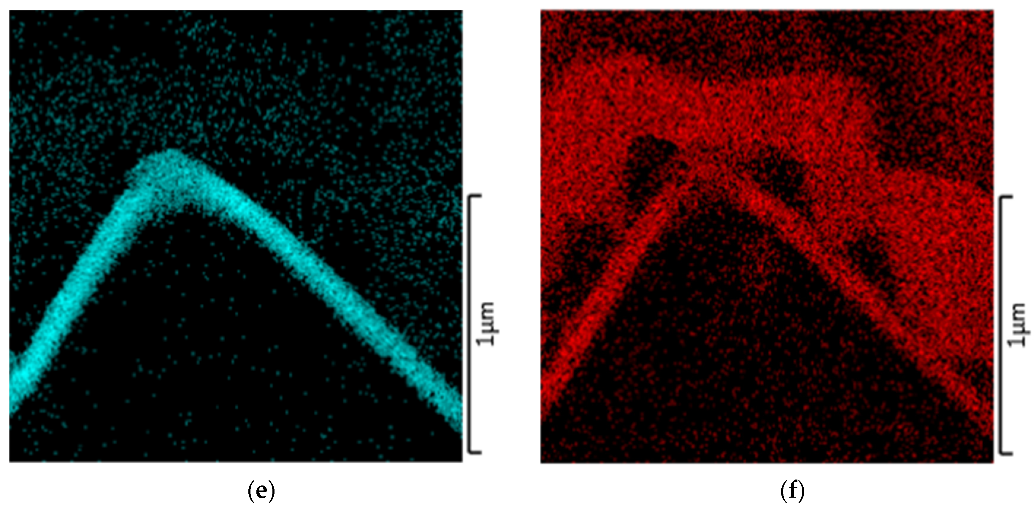 Coatings 11 01546 g005b 550