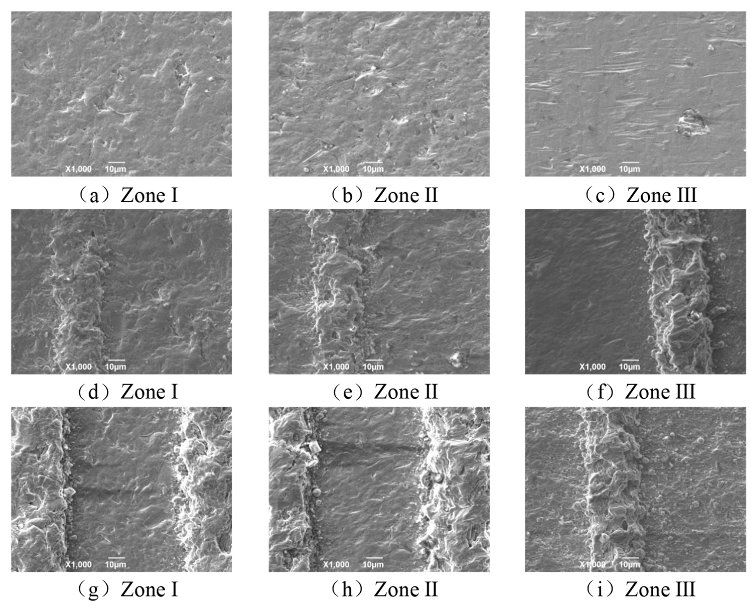 Coatings 11 01547 g009 Coatings 11 01547 g009