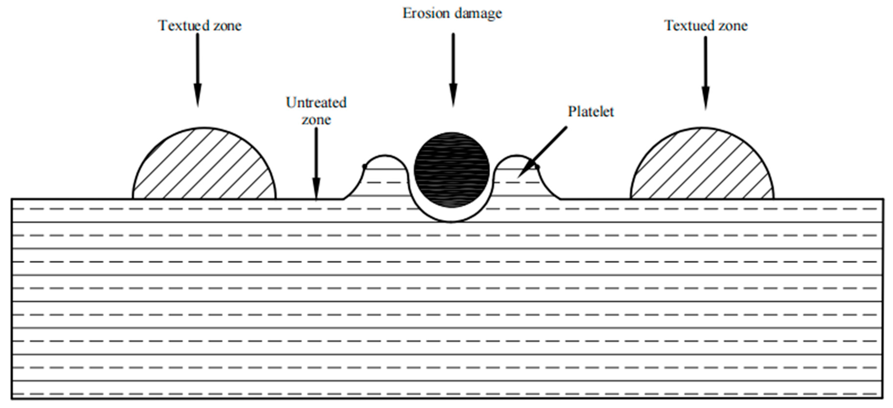 Coatings 11 01547 g011 Coatings 11 01547 g011
