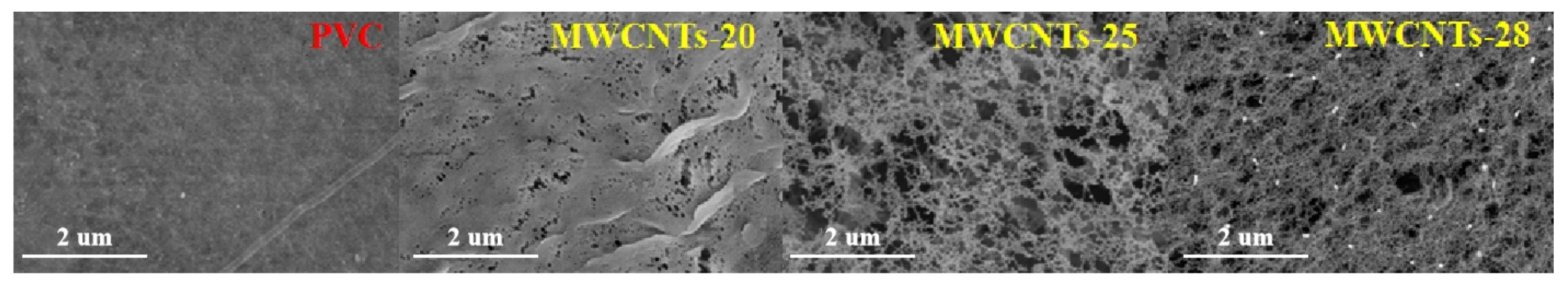 Coatings 11 01548 g005