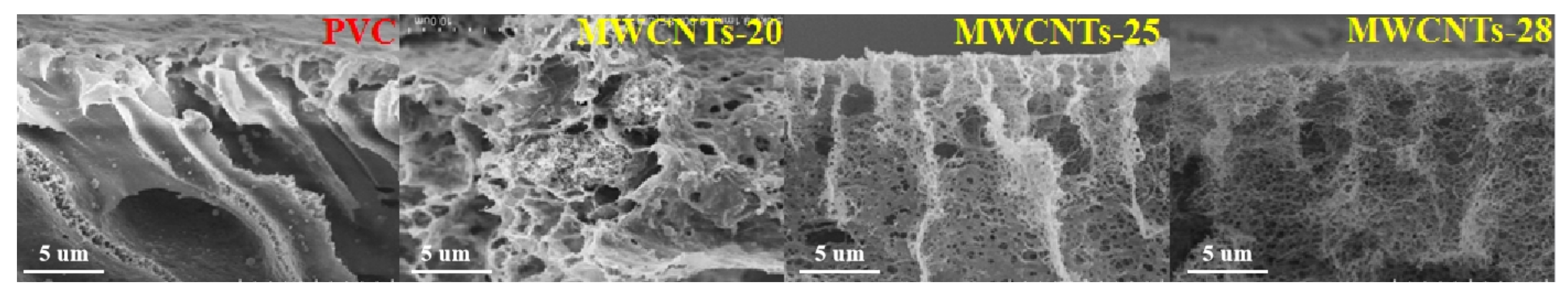 Coatings 11 01548 g006
