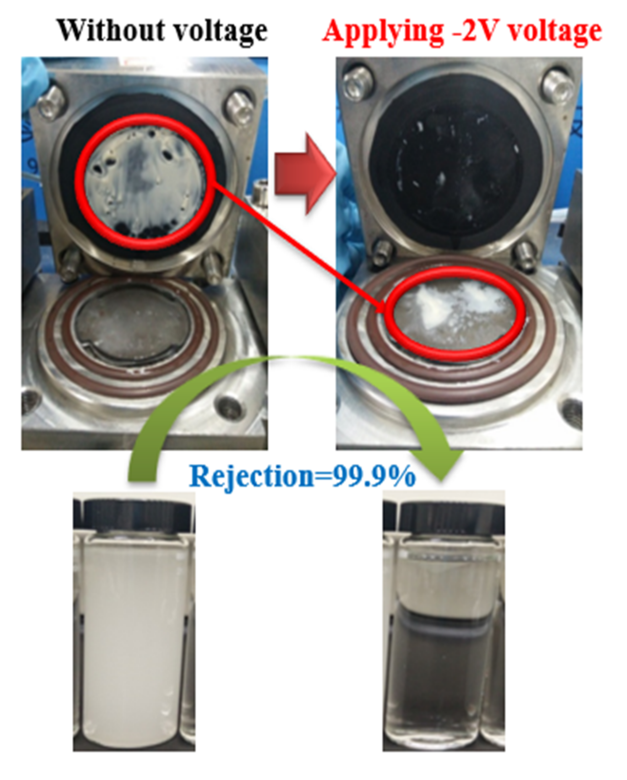 Coatings 11 01548 g010