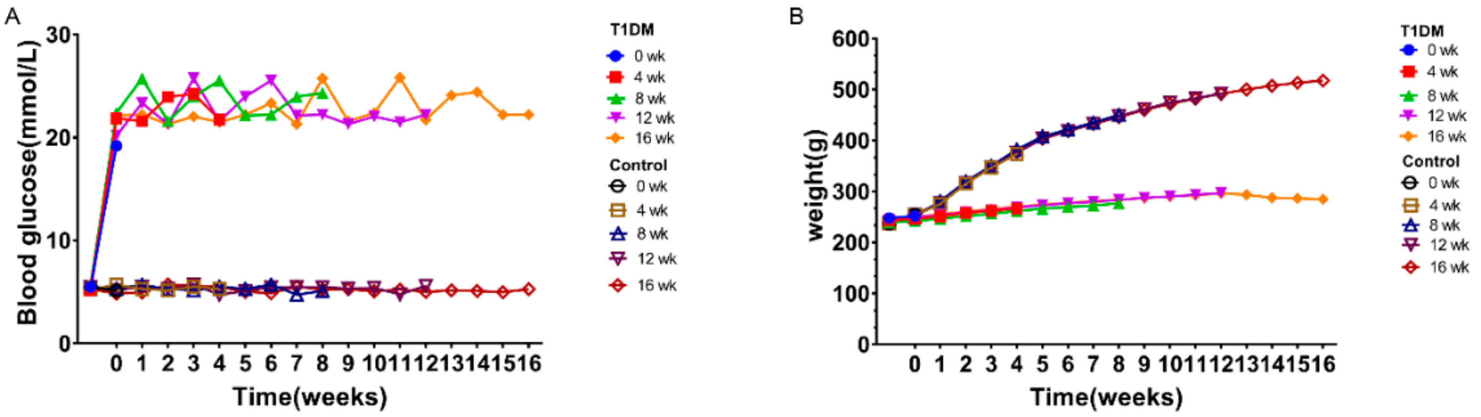 Coatings 11 01549 g001