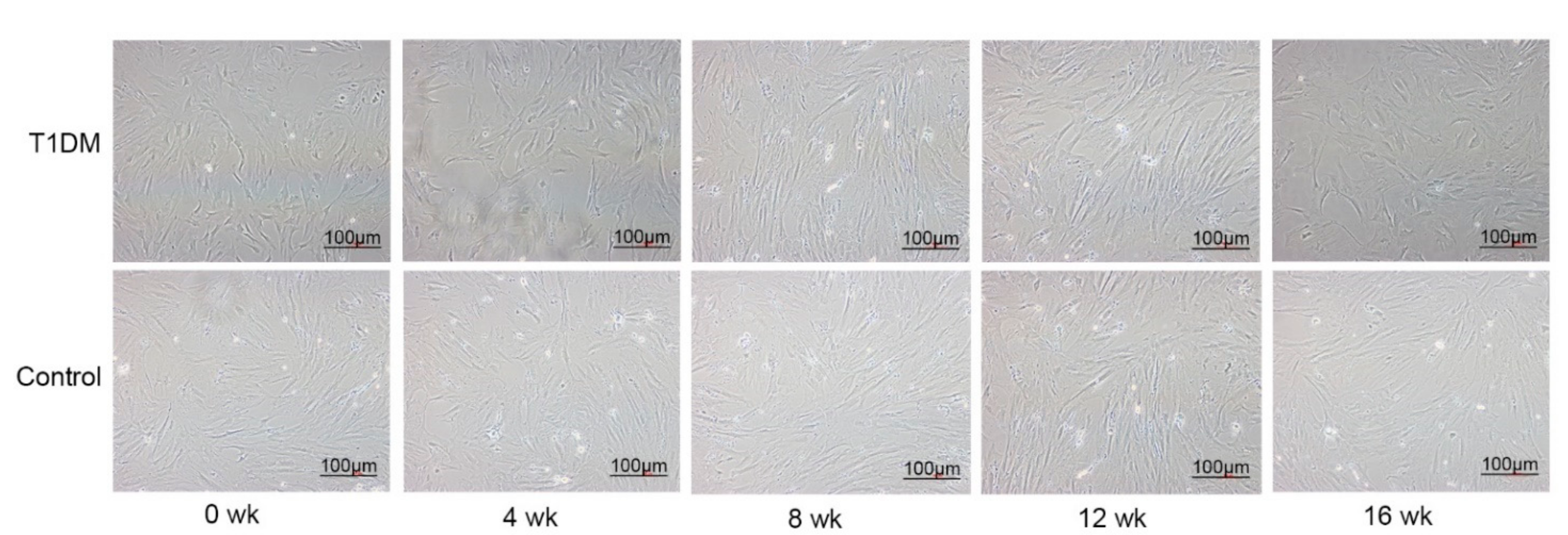 Coatings 11 01549 g003