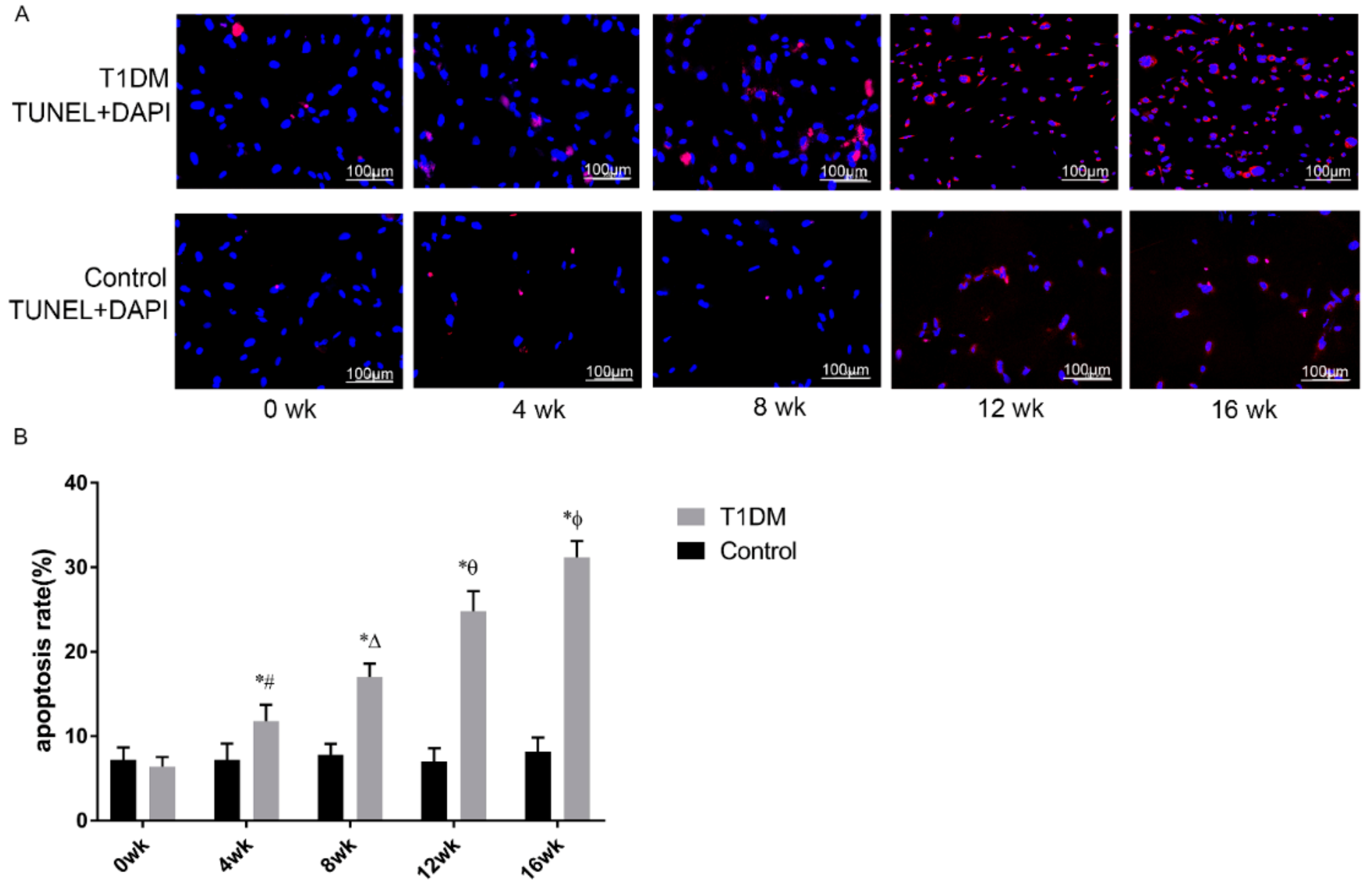 Coatings 11 01549 g005