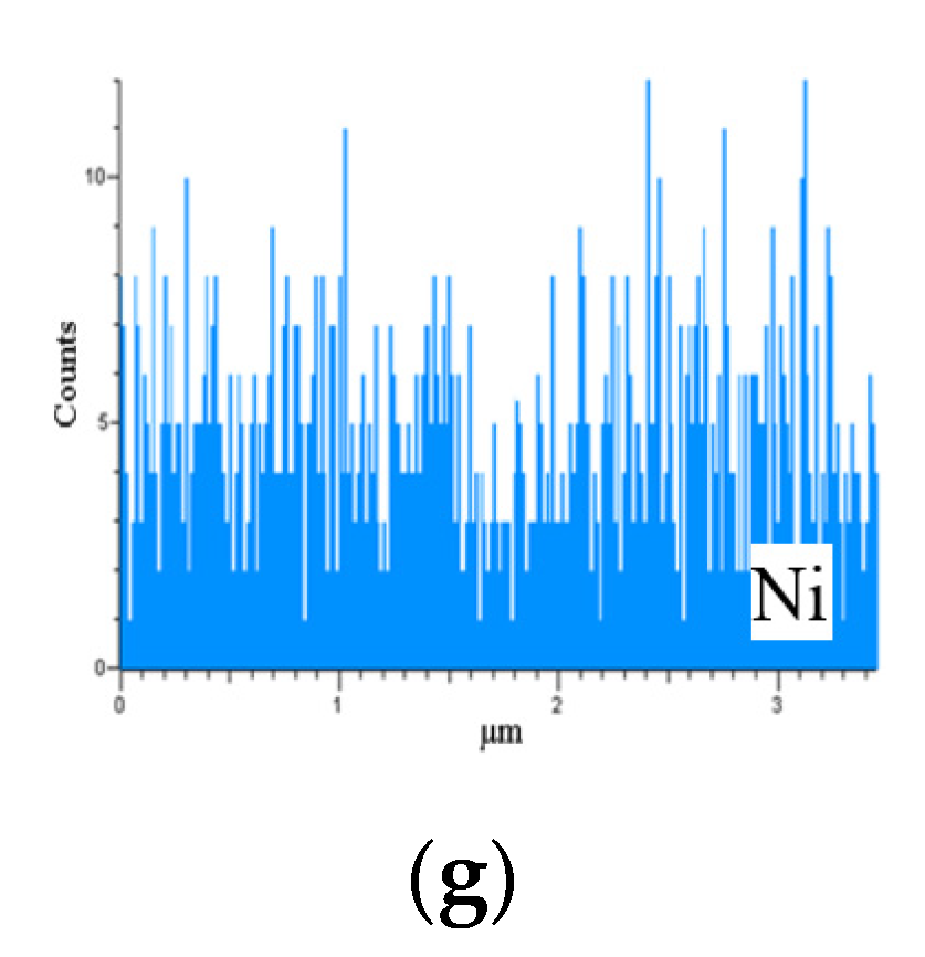 Coatings 11 01553 g003b