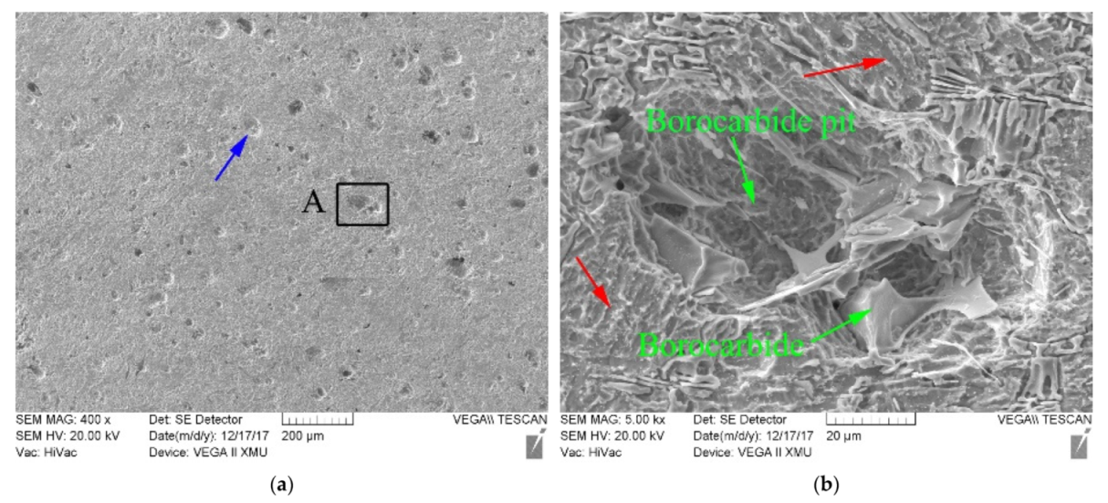 Coatings 11 01553 g007