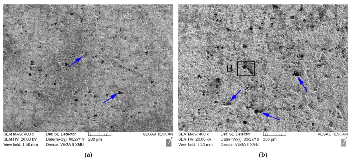 Coatings 11 01553 g008a