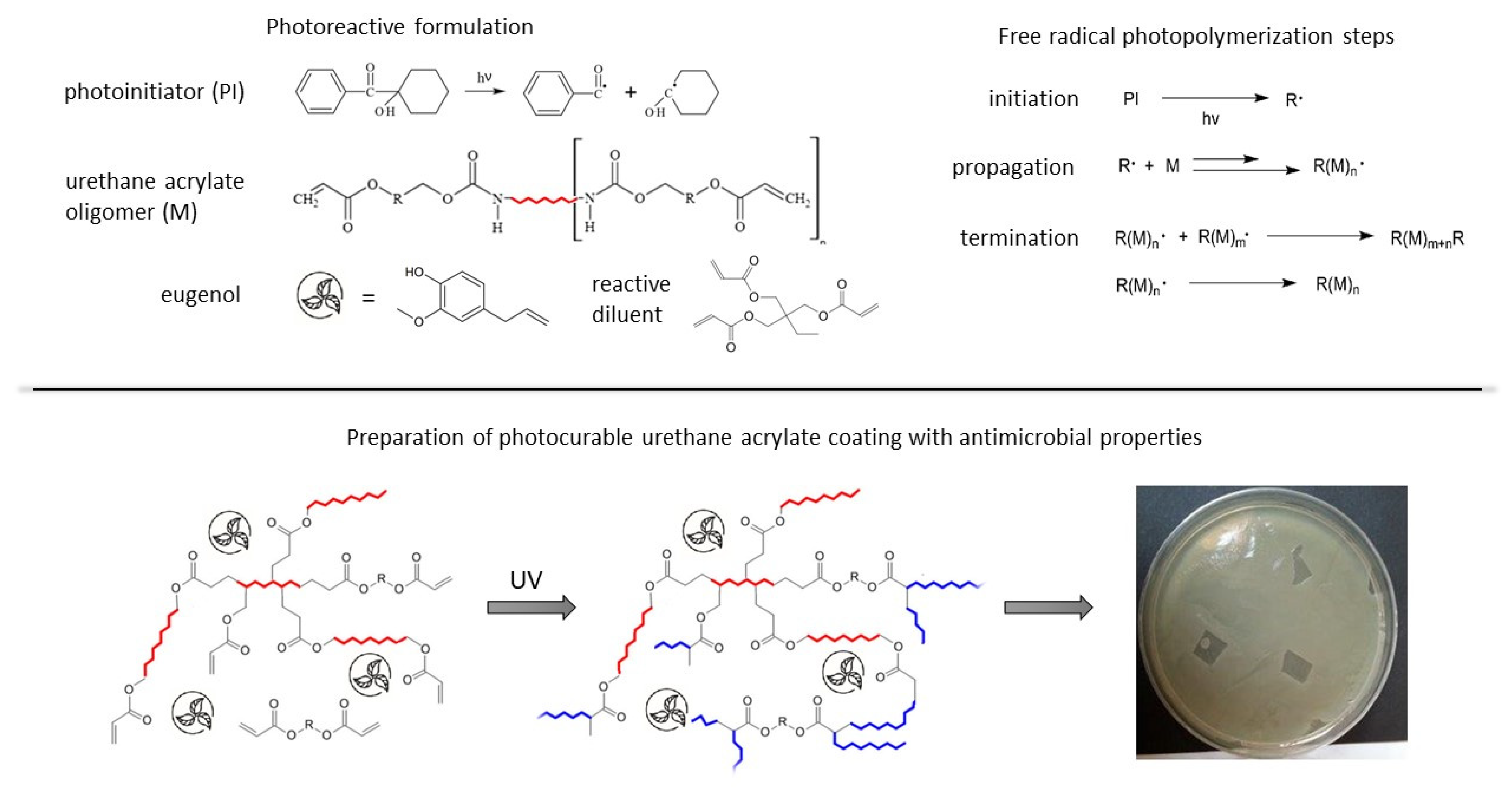 Coatings 11 01556 g001 550