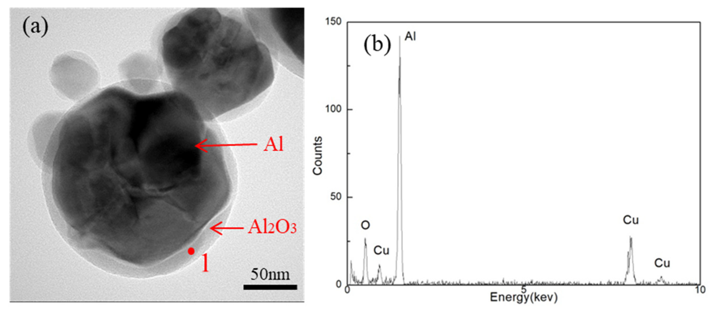Coatings 11 01557 g007 550