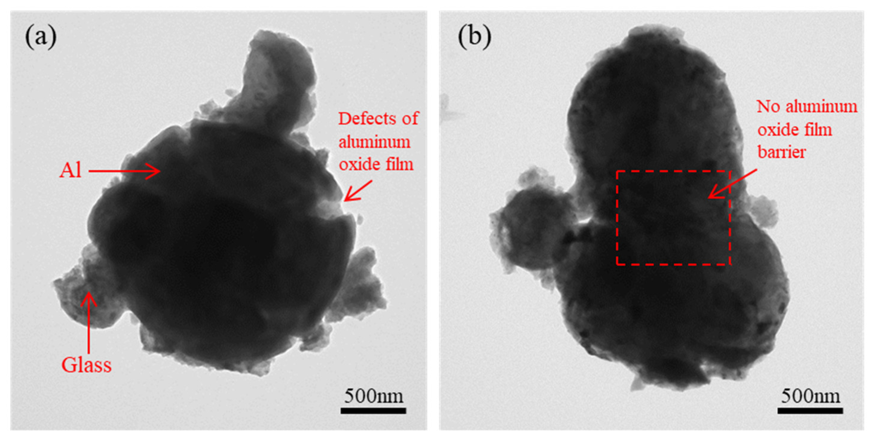 Coatings 11 01557 g008 550