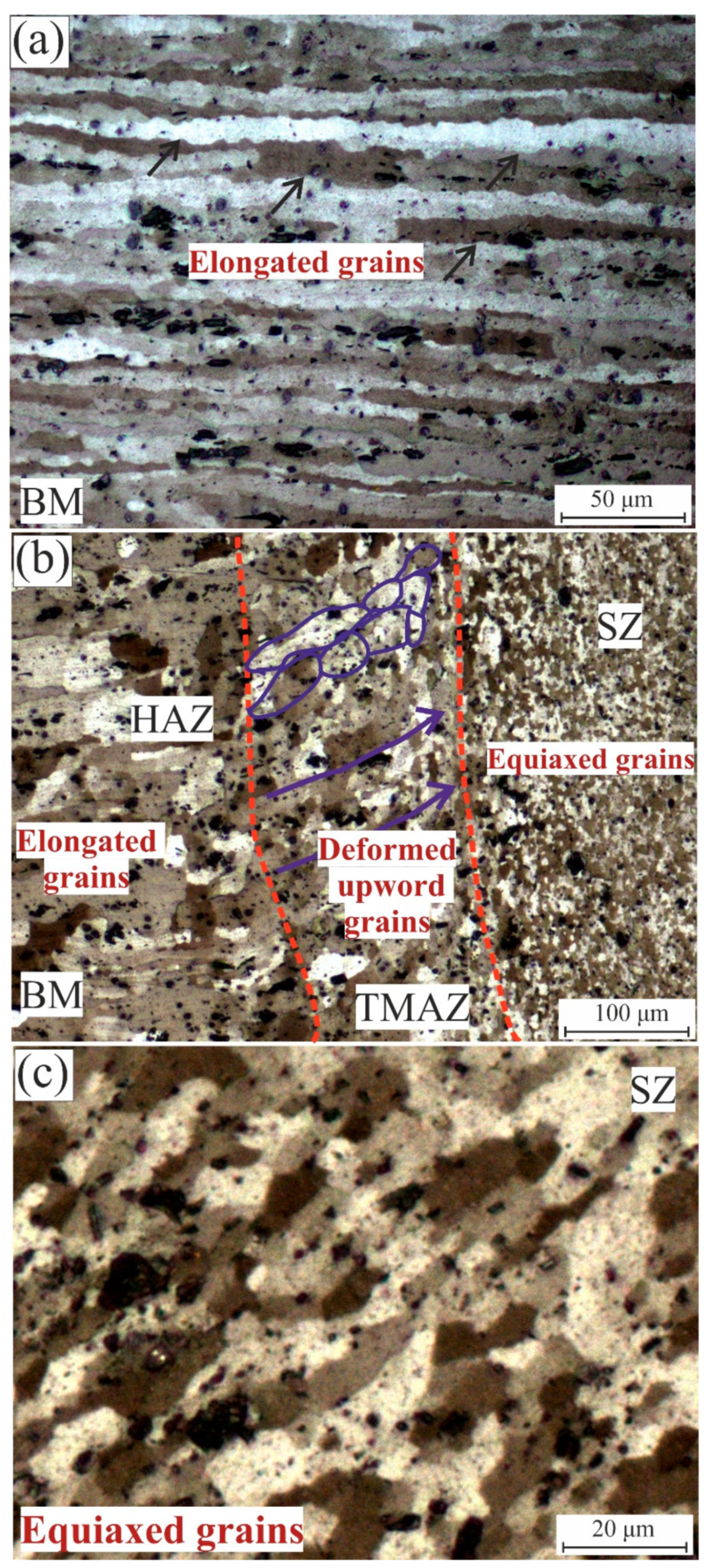 Coatings 11 01560 g003 550