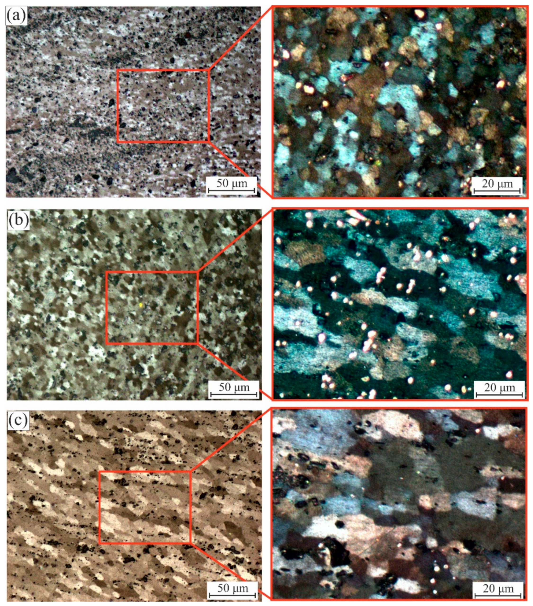 Coatings 11 01560 g004 550