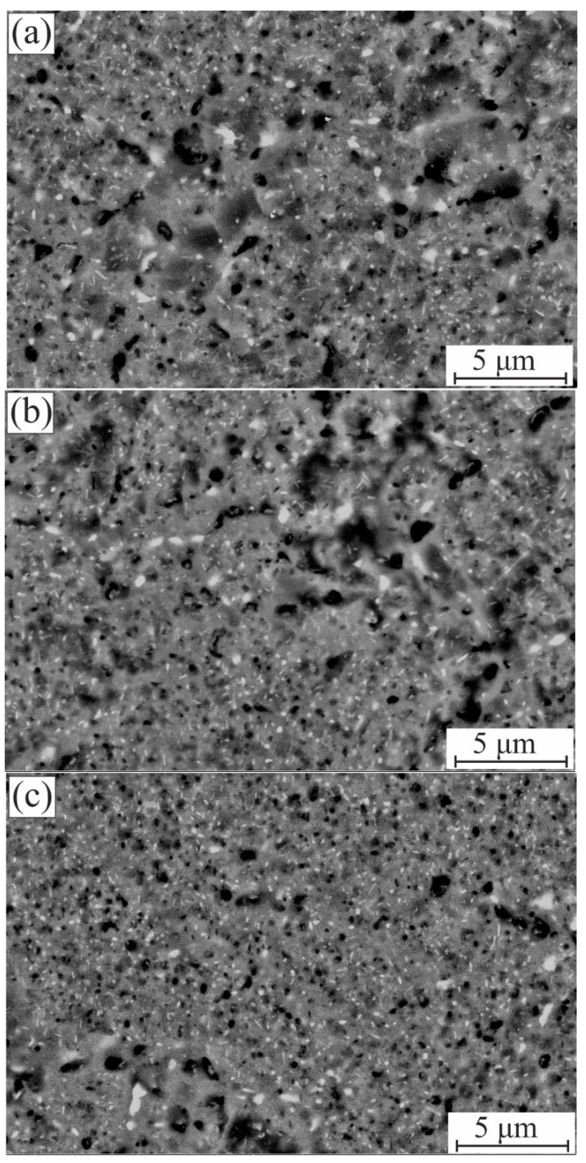 Coatings 11 01560 g005 550