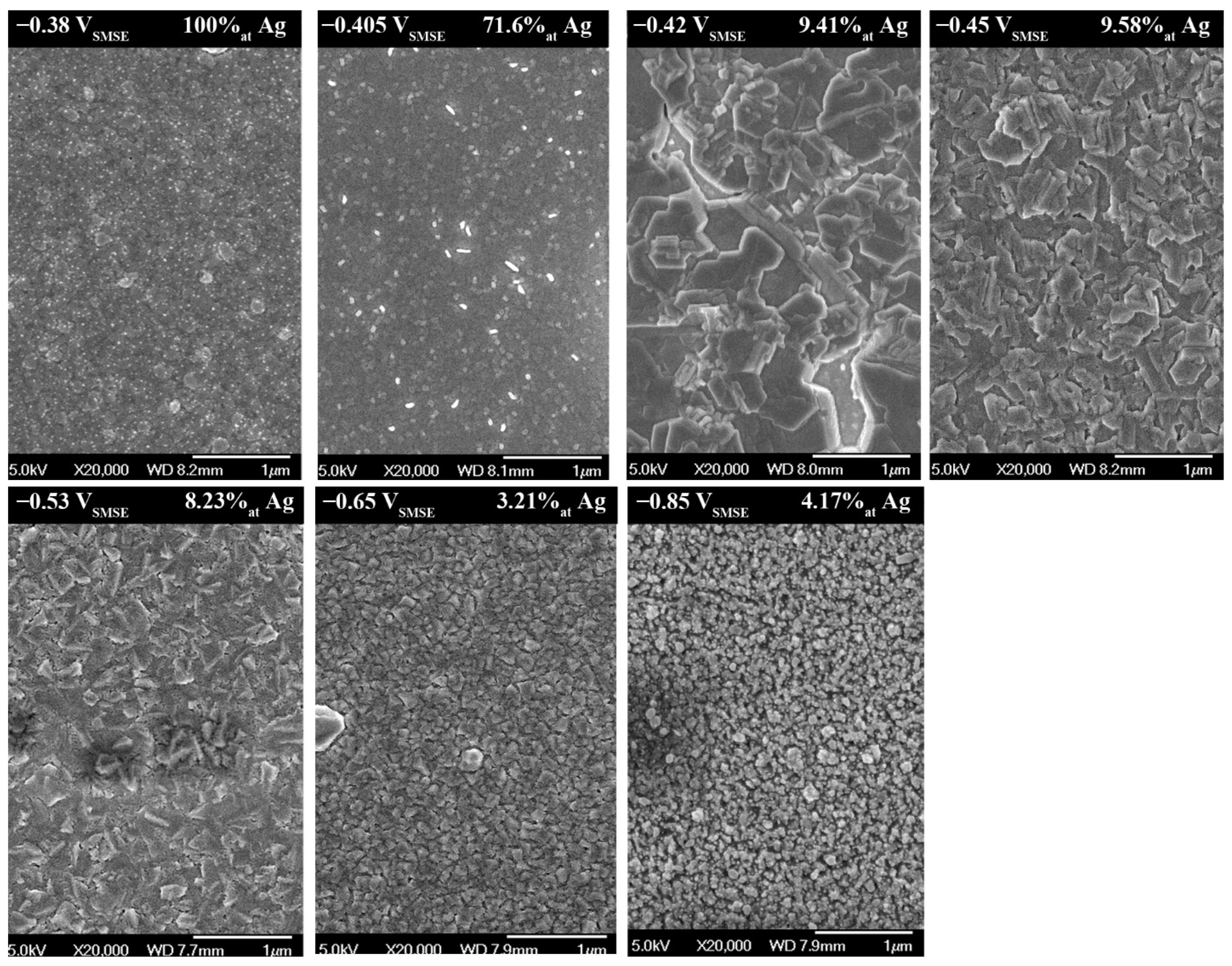 Coatings 11 01563 g002 Coatings 11 01563 g002