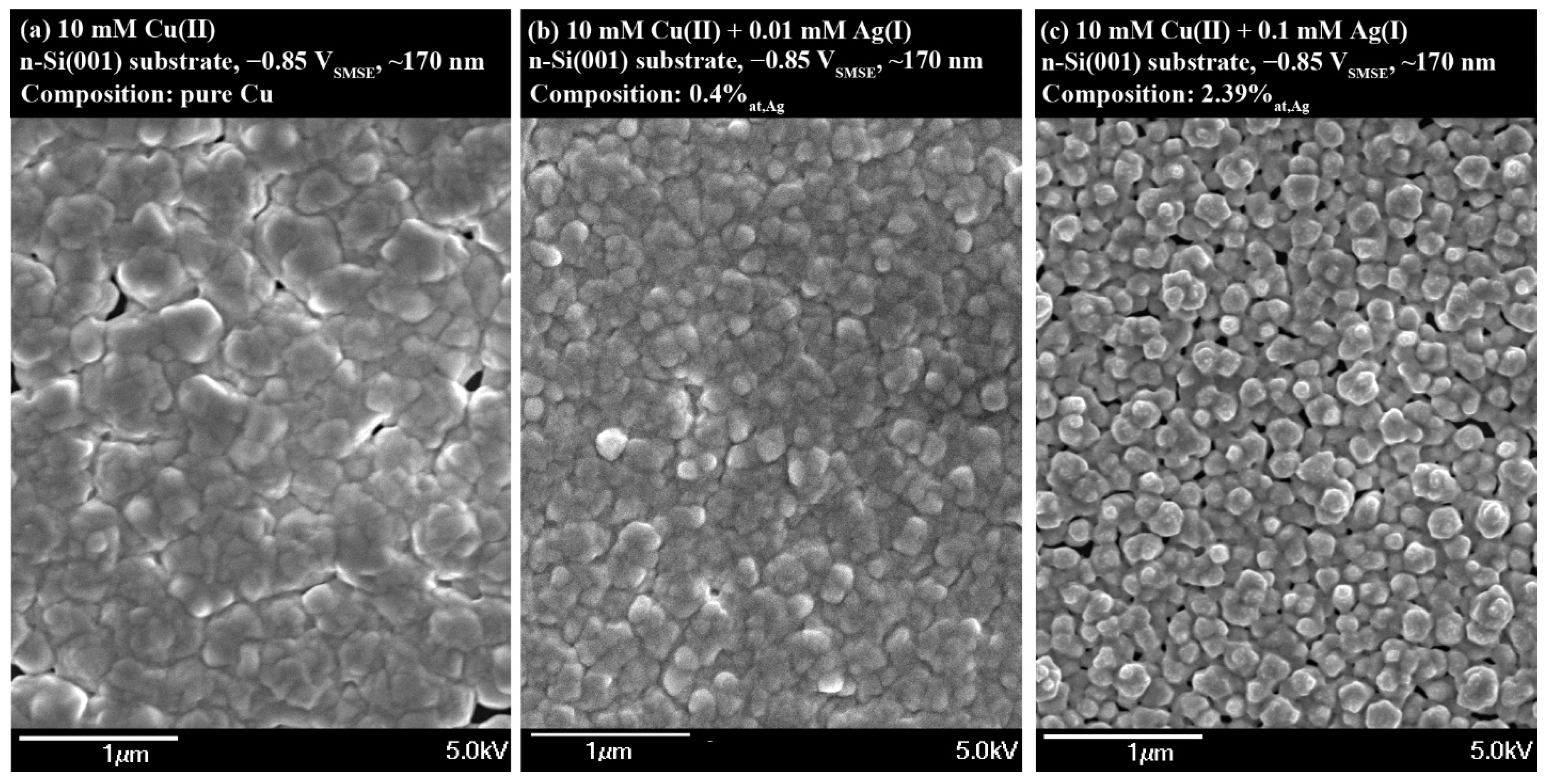 Coatings 11 01563 g004 Coatings 11 01563 g004