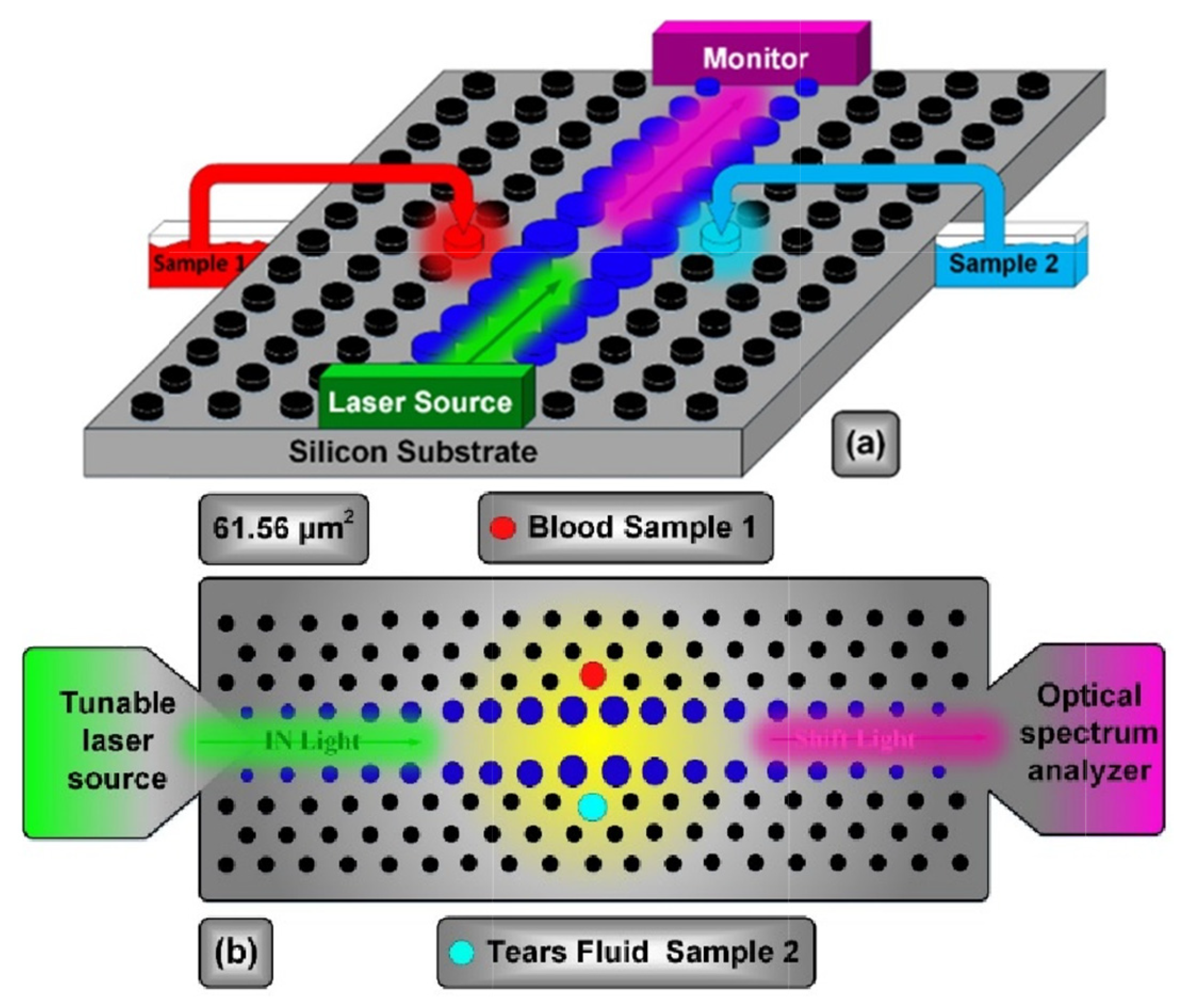 Coatings 11 01564 g003
