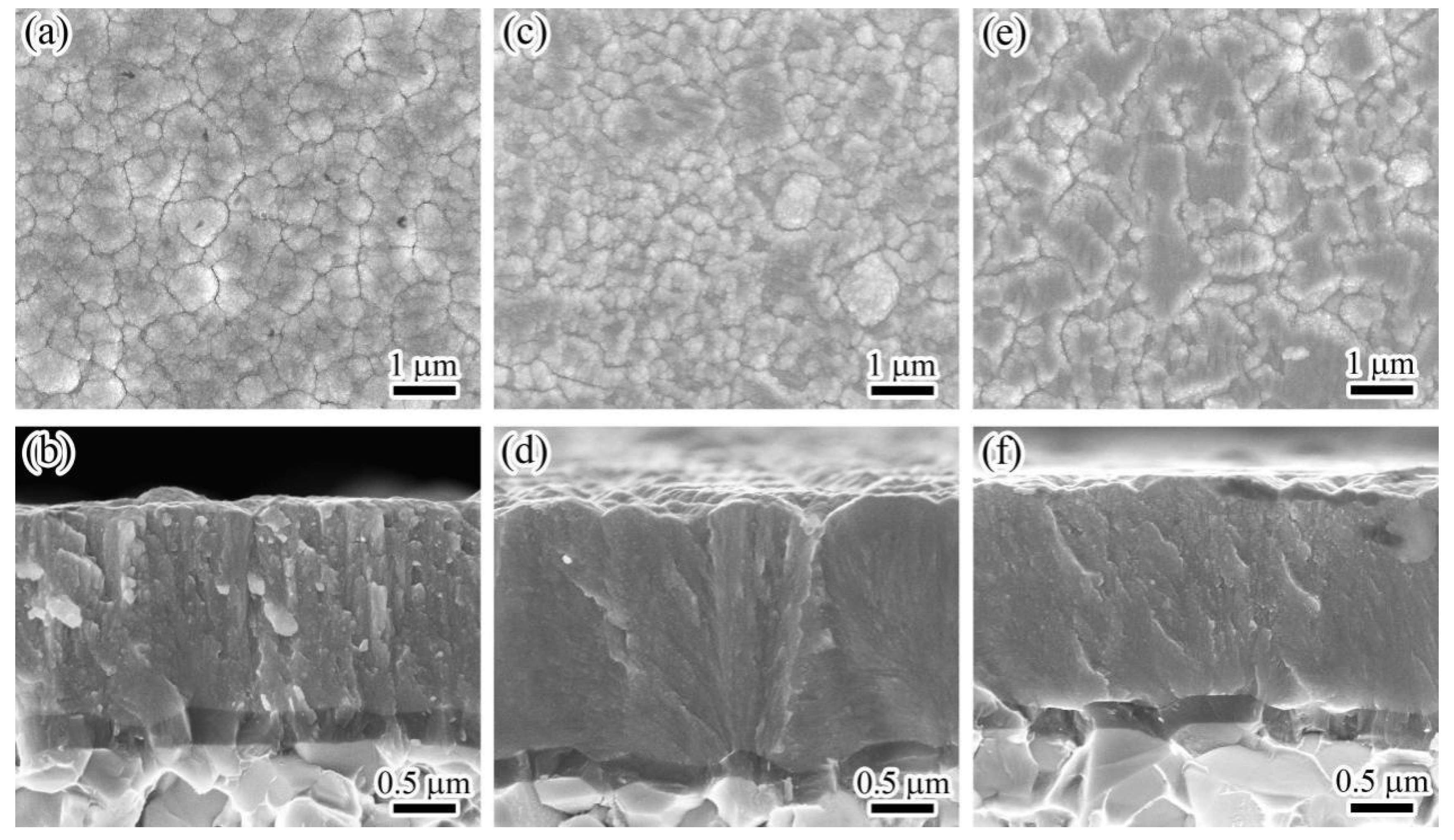 Coatings 11 01565 g003
