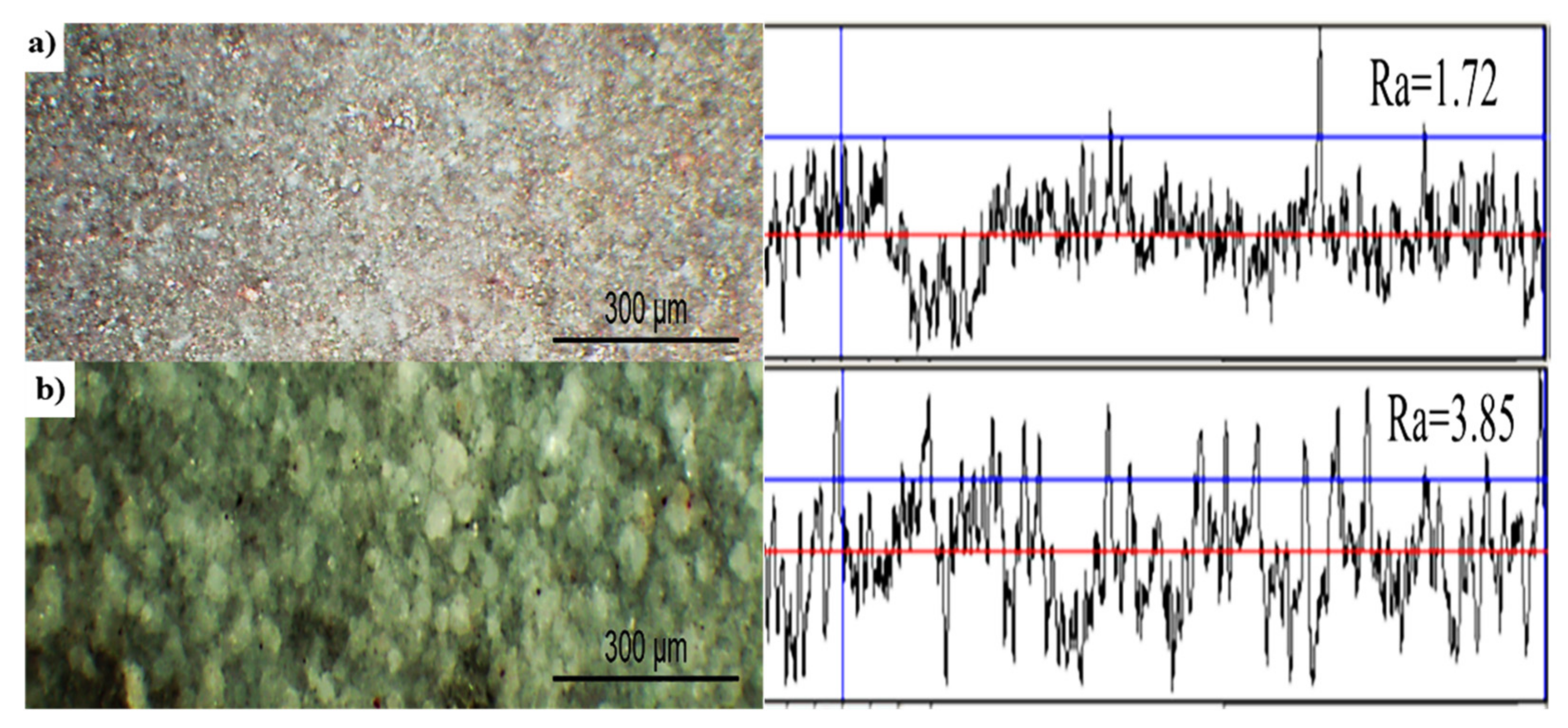Coatings 11 01566 g005 550