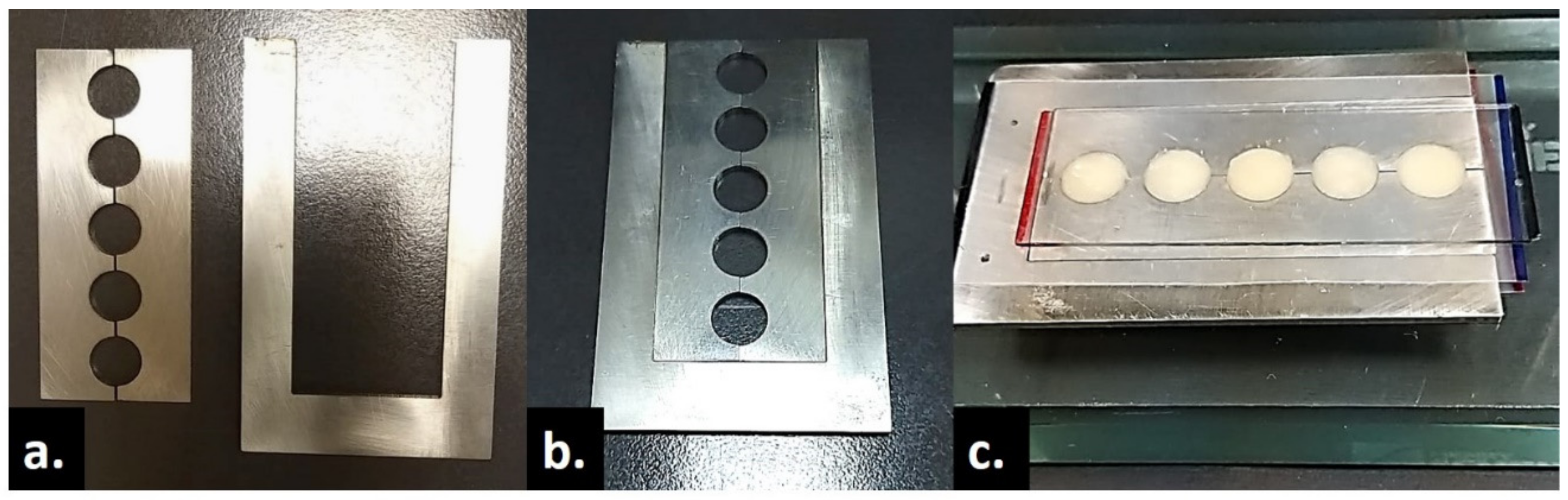 Coatings 11 01568 g001 550
