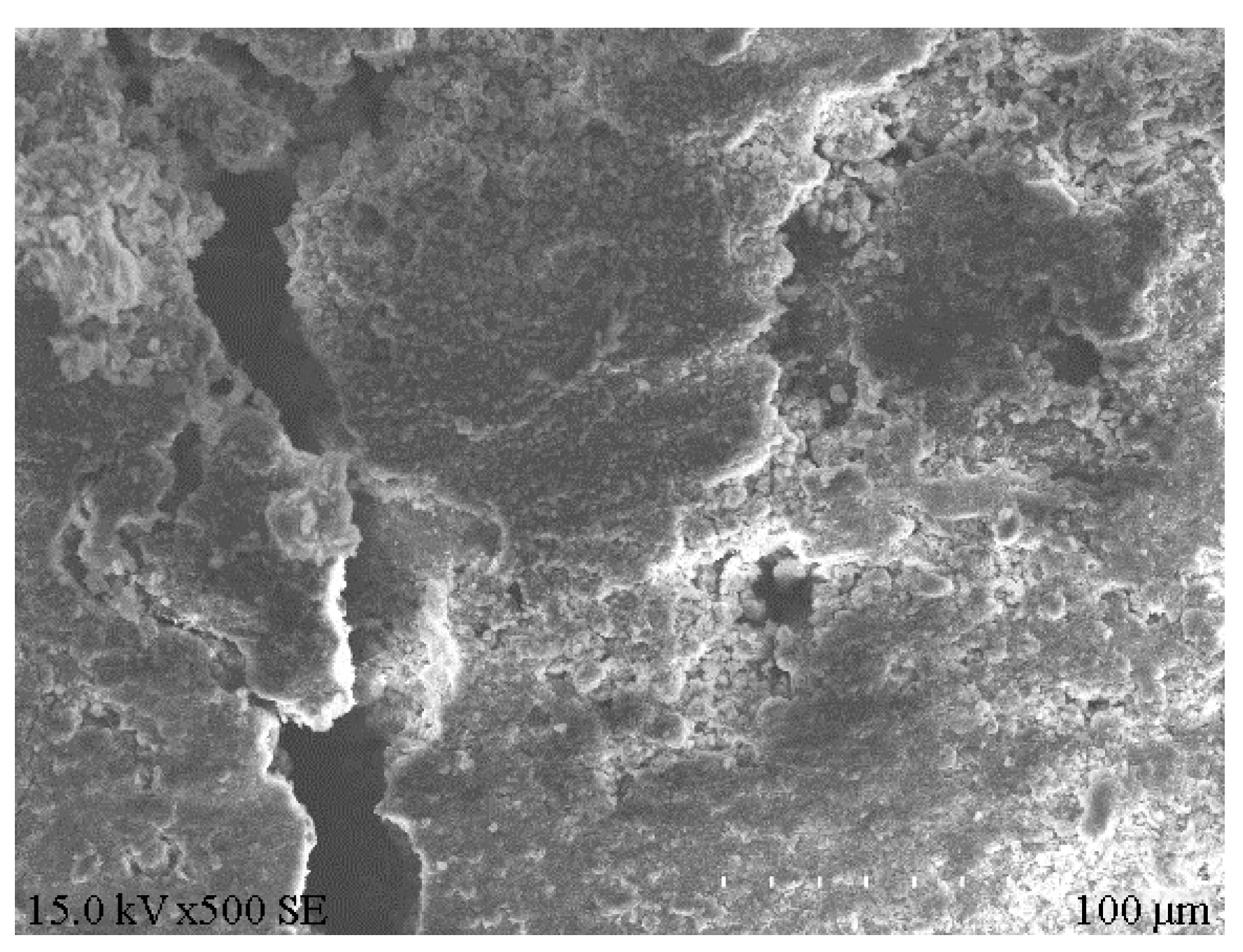 Coatings 12 00002 g009