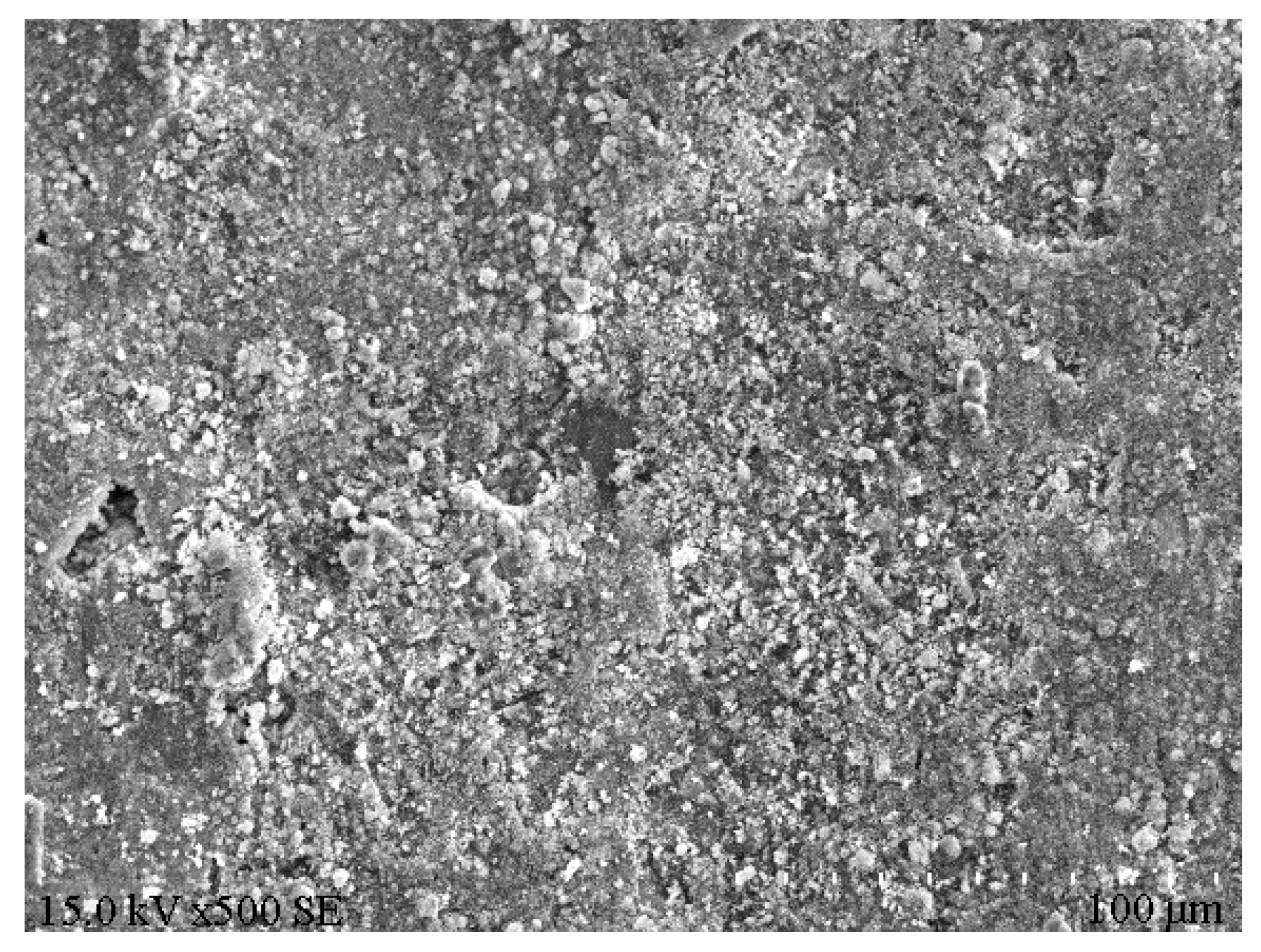 Coatings 12 00002 g010