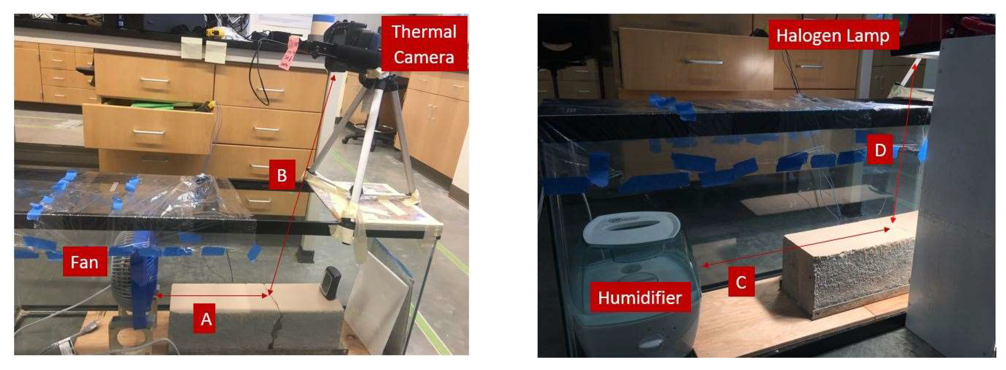 Coatings 12 00007 g011 550