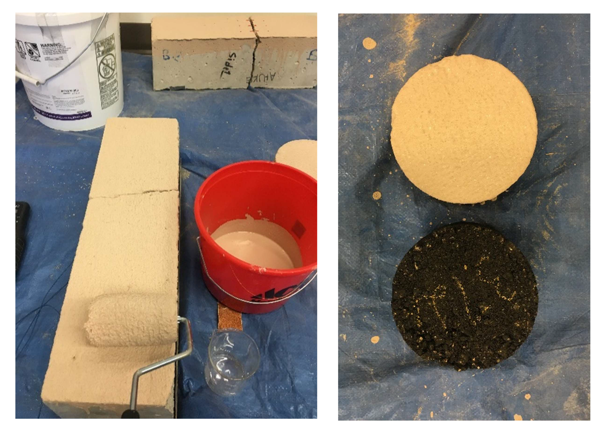 Coatings 12 00007 g014 550