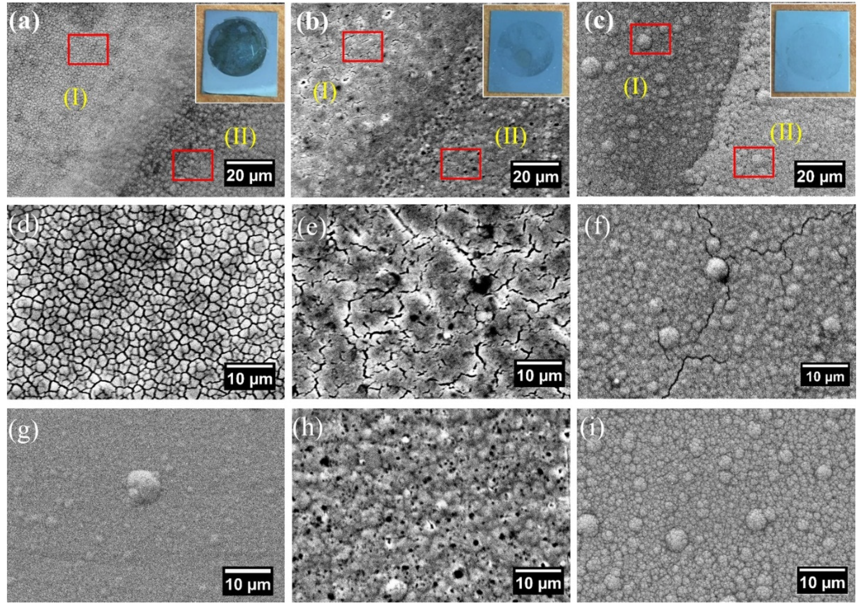 Coatings 12 00009 g008