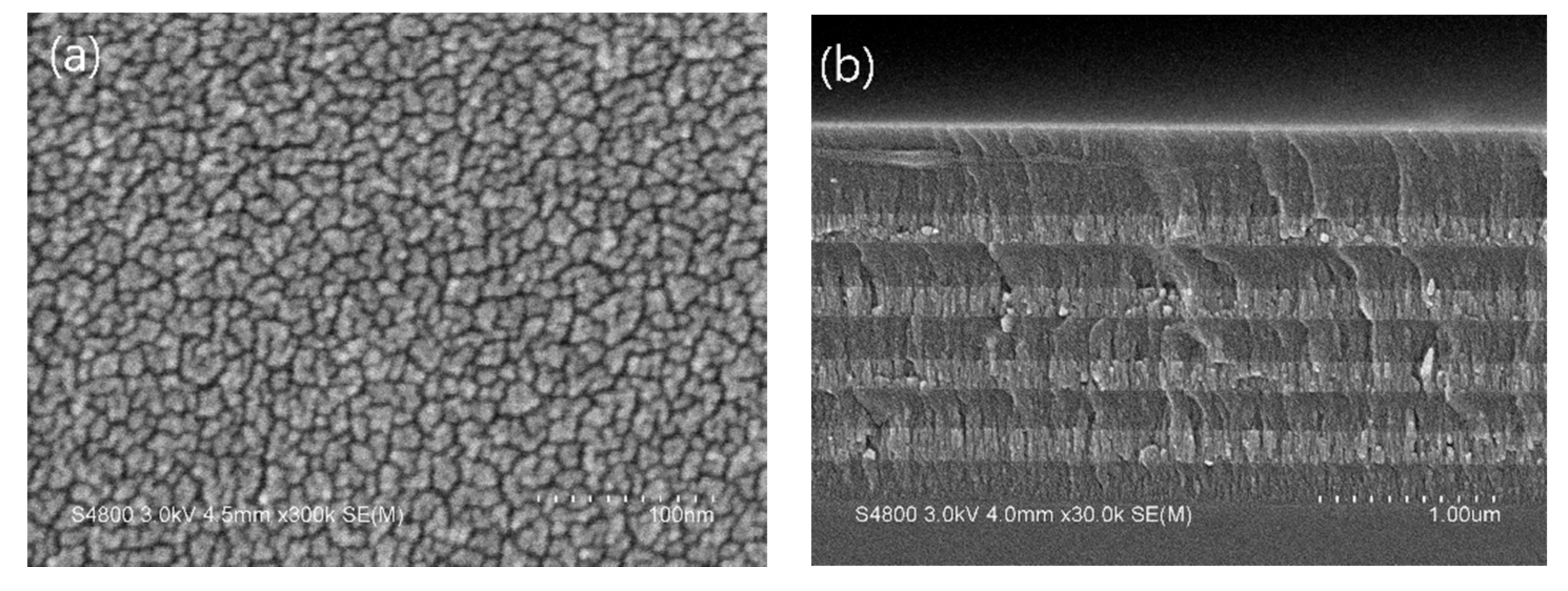 Coatings 12 00019 g008 550