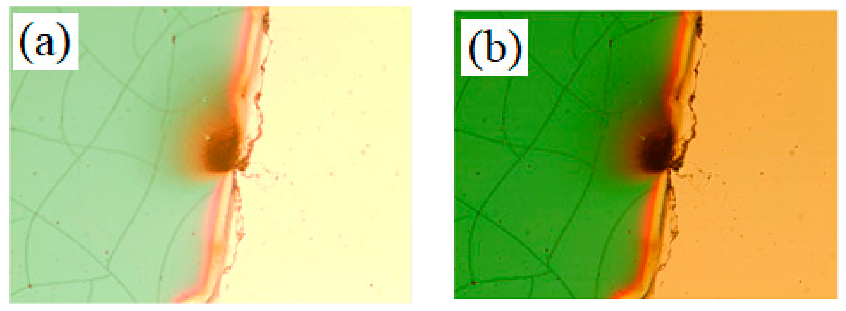 Coatings 12 00019 g009 550
