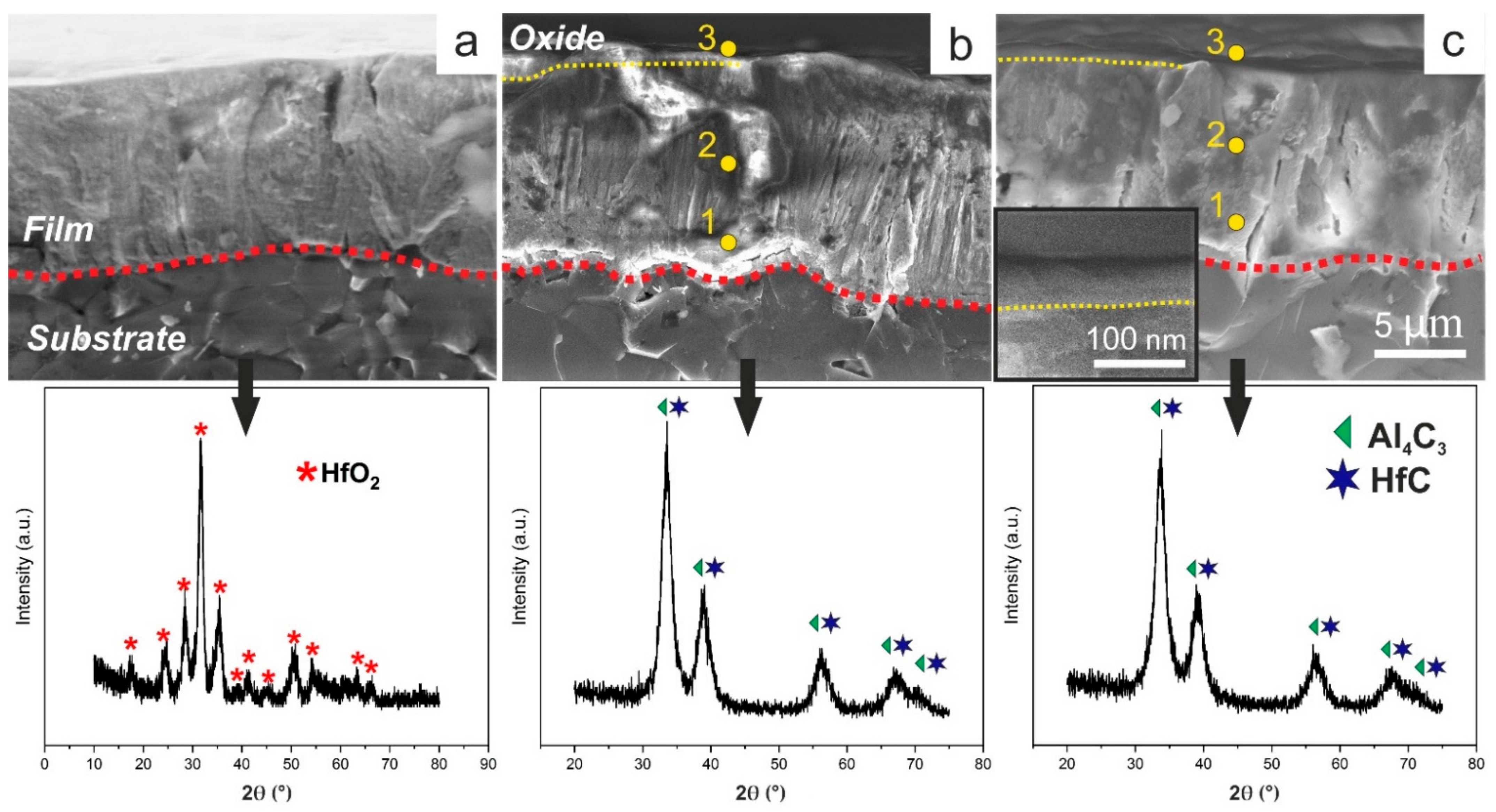 Coatings 12 00027 g004 550