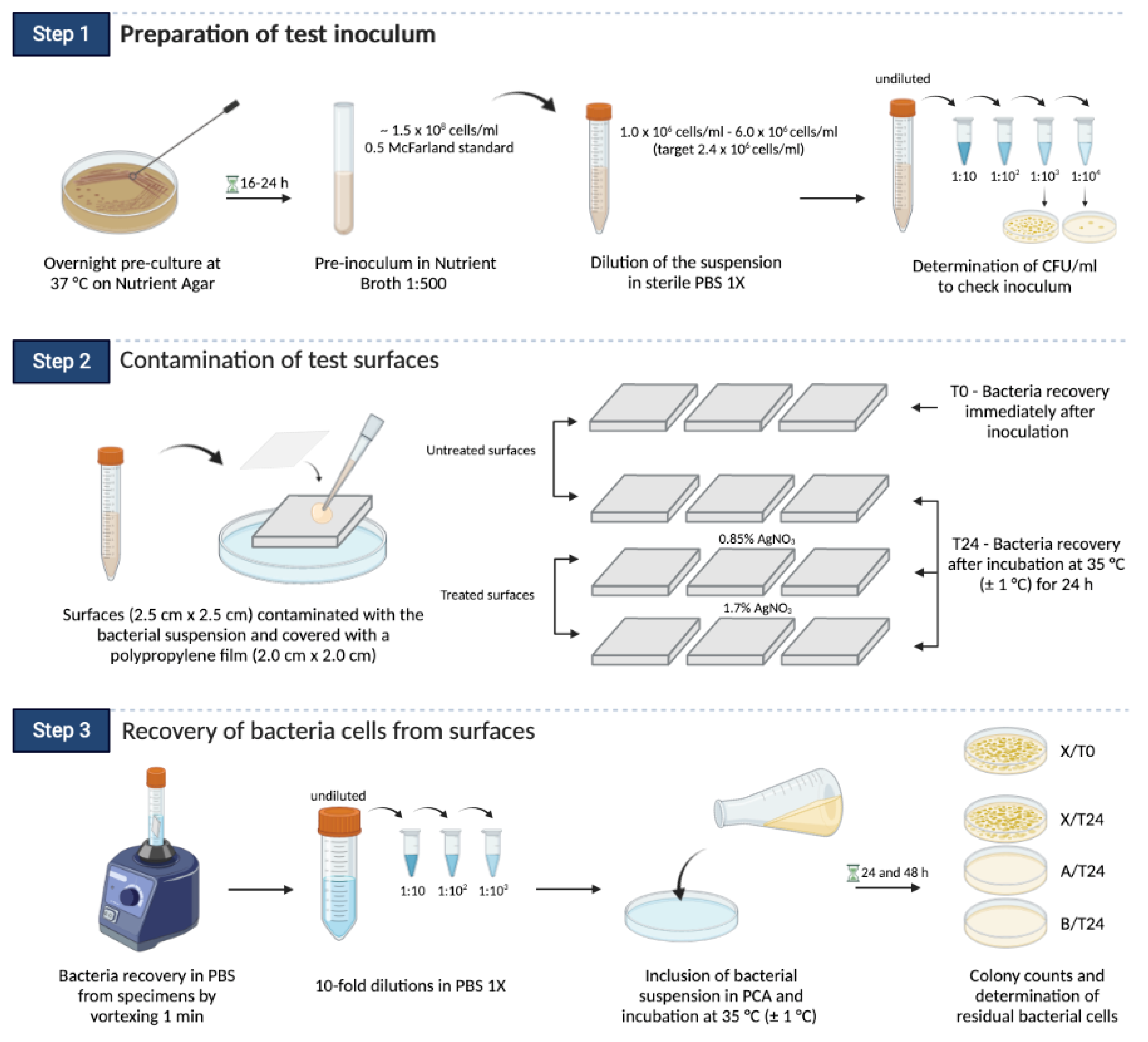 Coatings 12 00028 g001 550