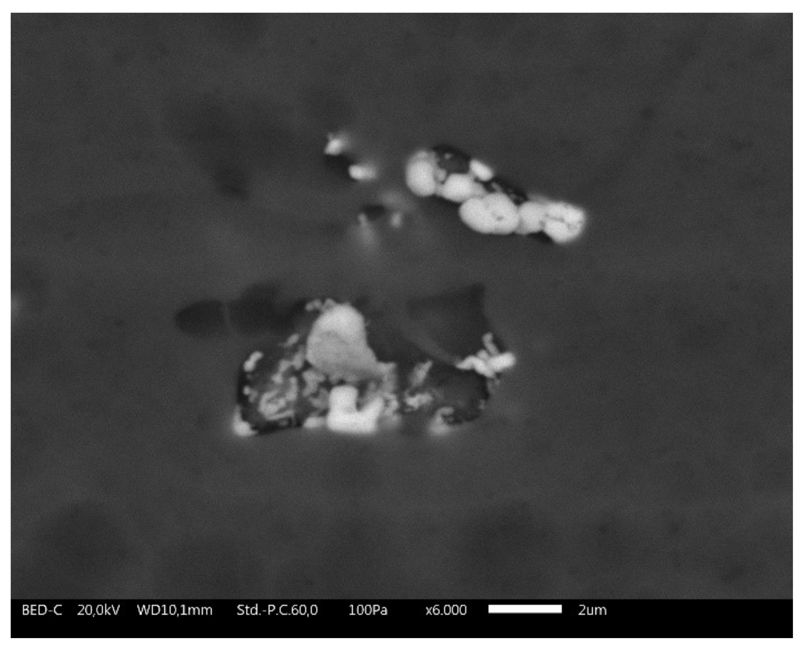 Coatings 12 00028 g002 550