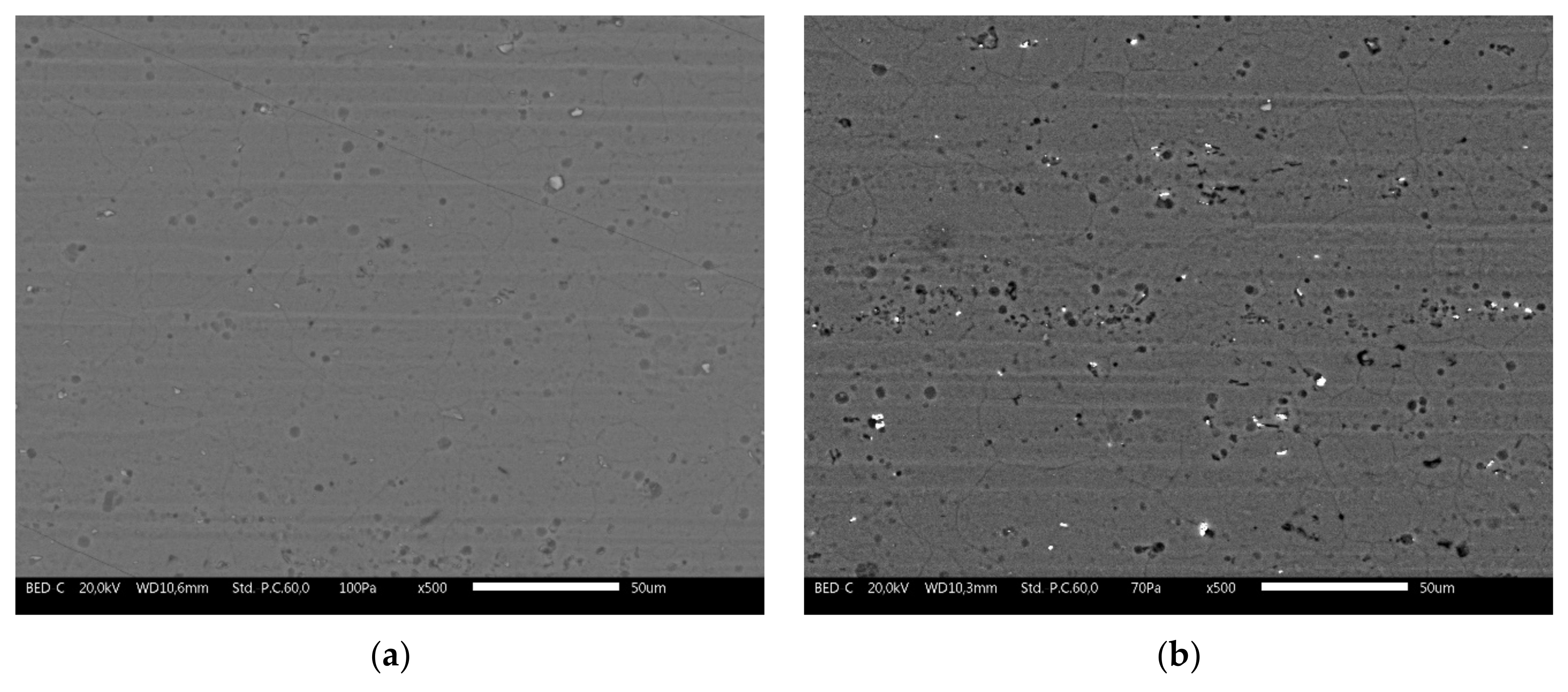 Coatings 12 00028 g003a 550