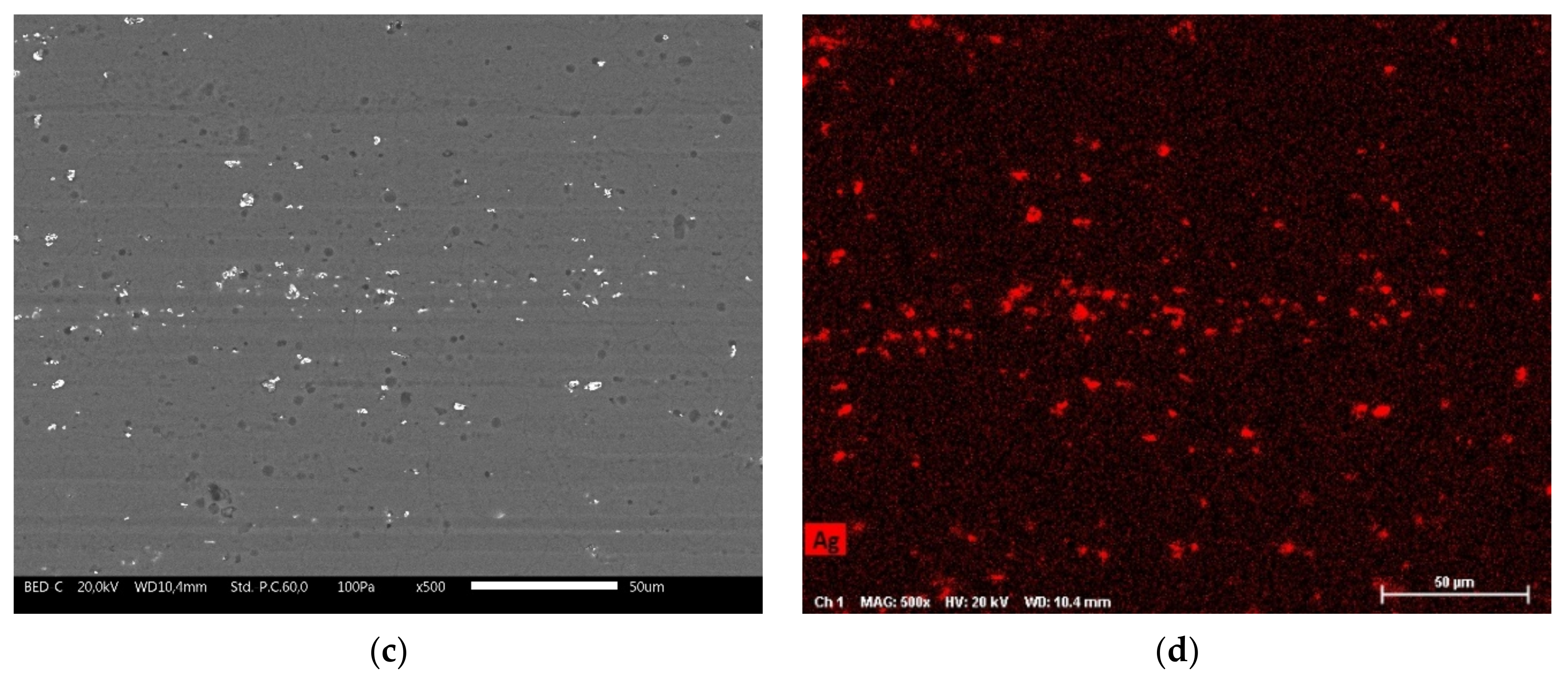 Coatings 12 00028 g003b 550