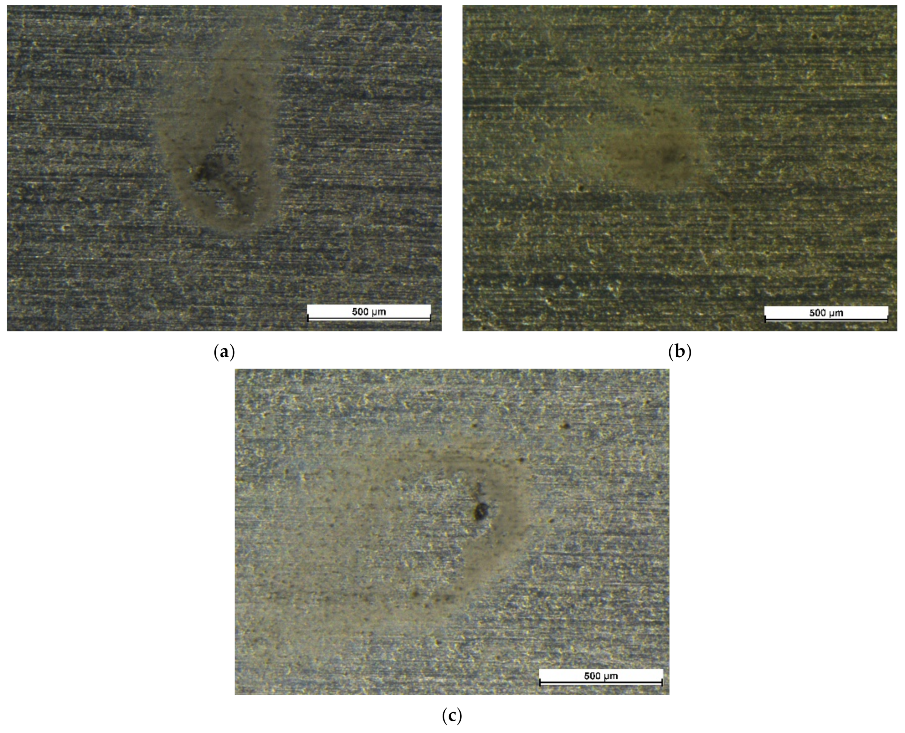 Coatings 12 00028 g004 550