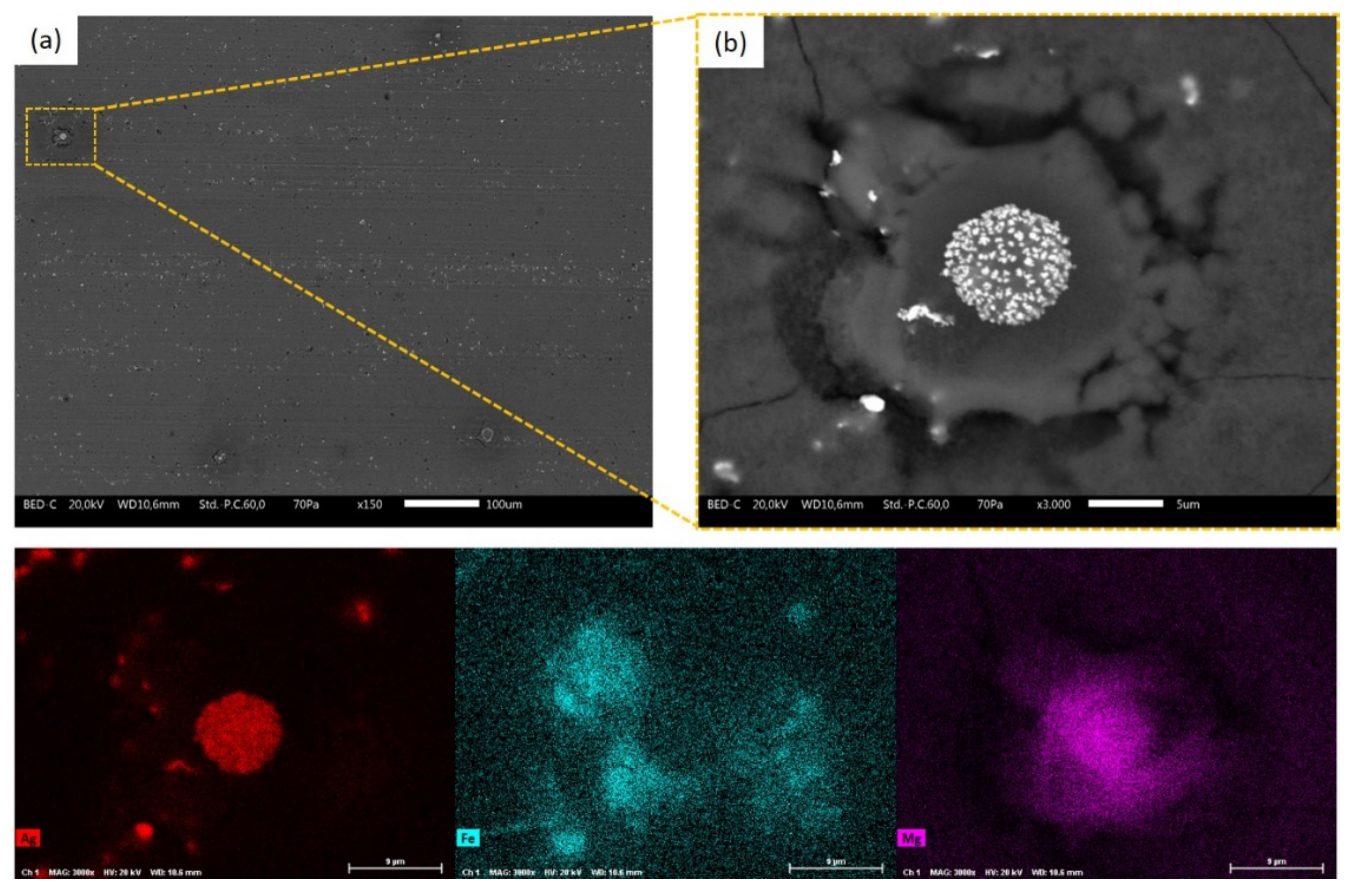 Coatings 12 00028 g005 550