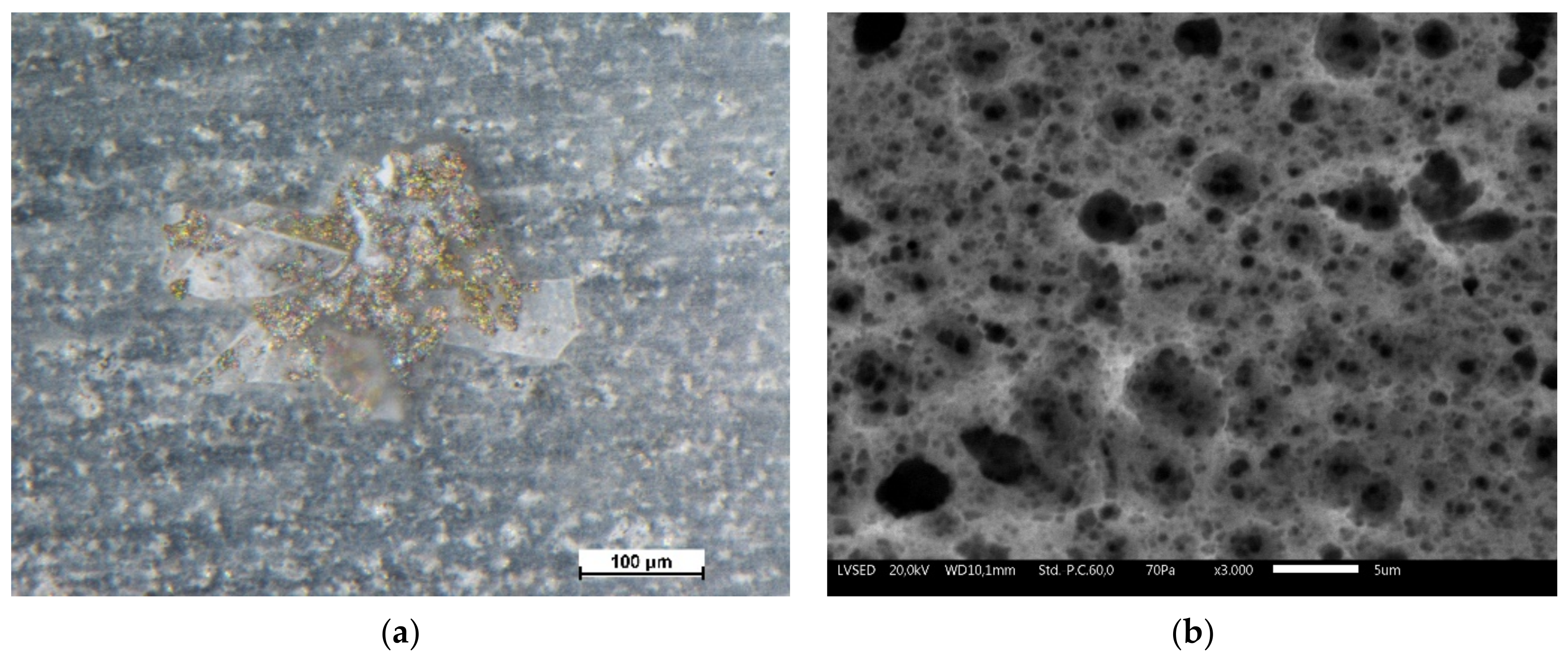 Coatings 12 00028 g006 550