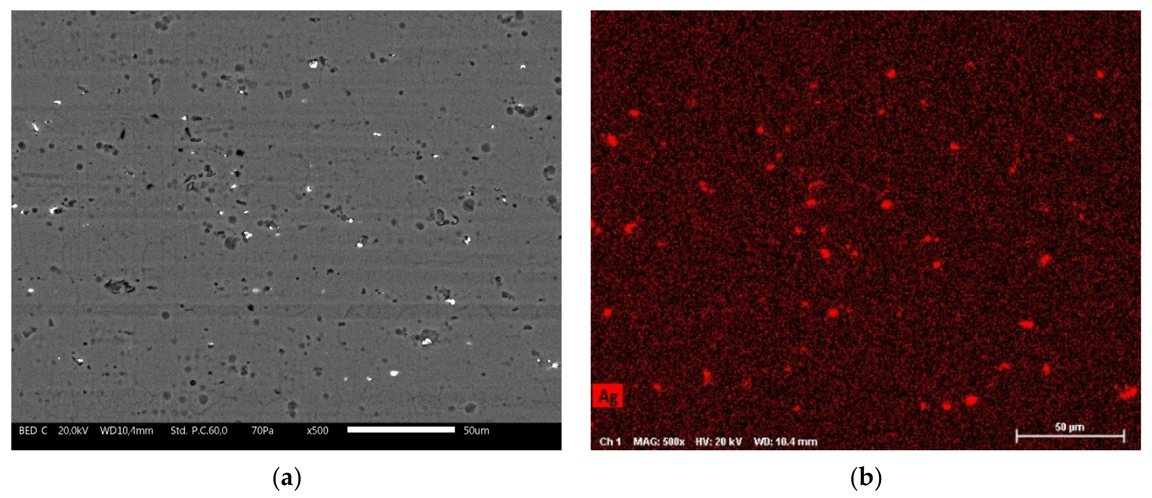 Coatings 12 00028 g009 550