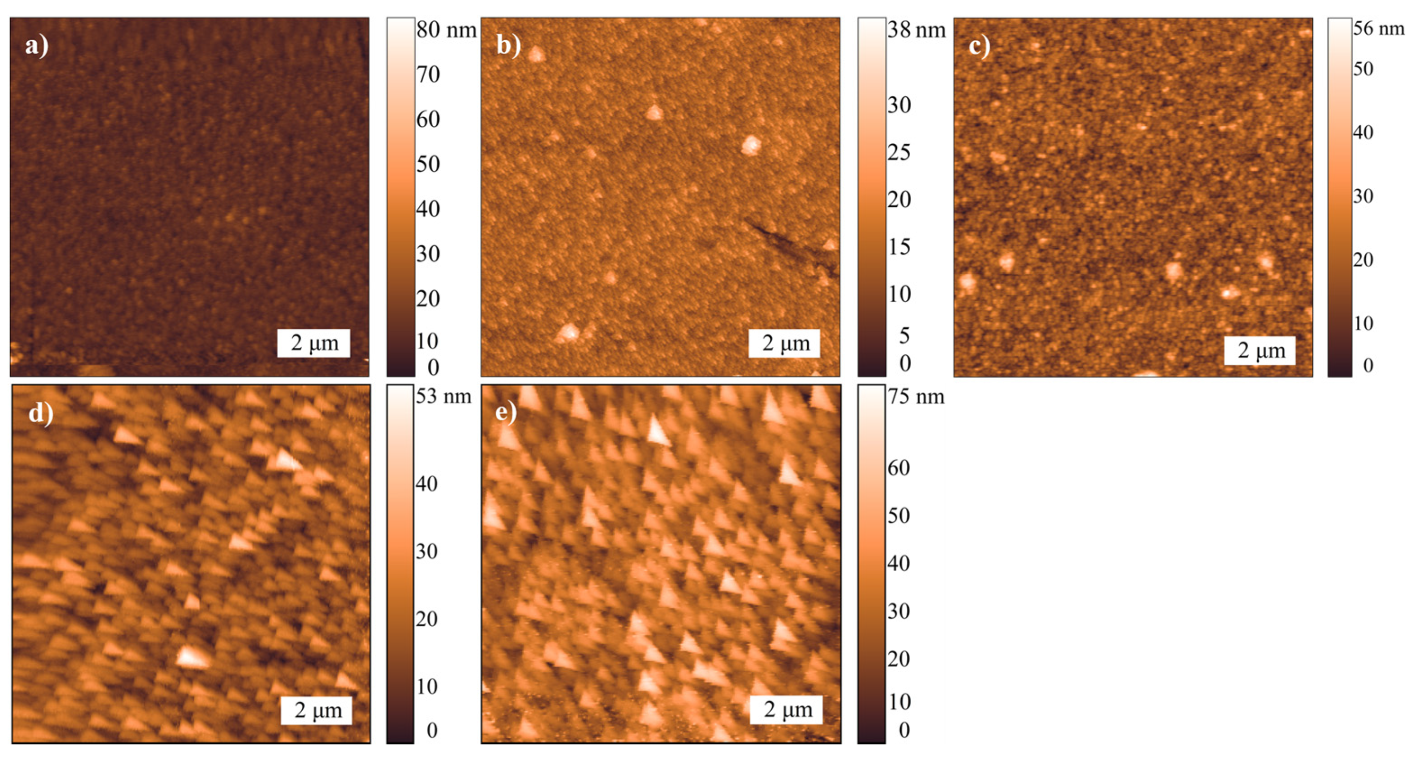 Coatings 12 00031 g001