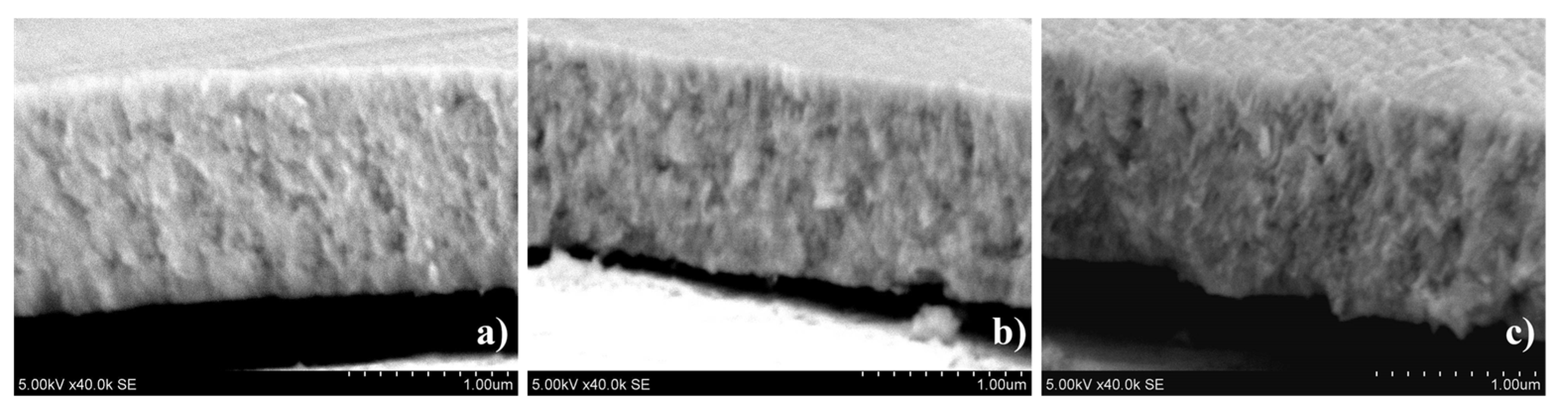 Coatings 12 00031 g005