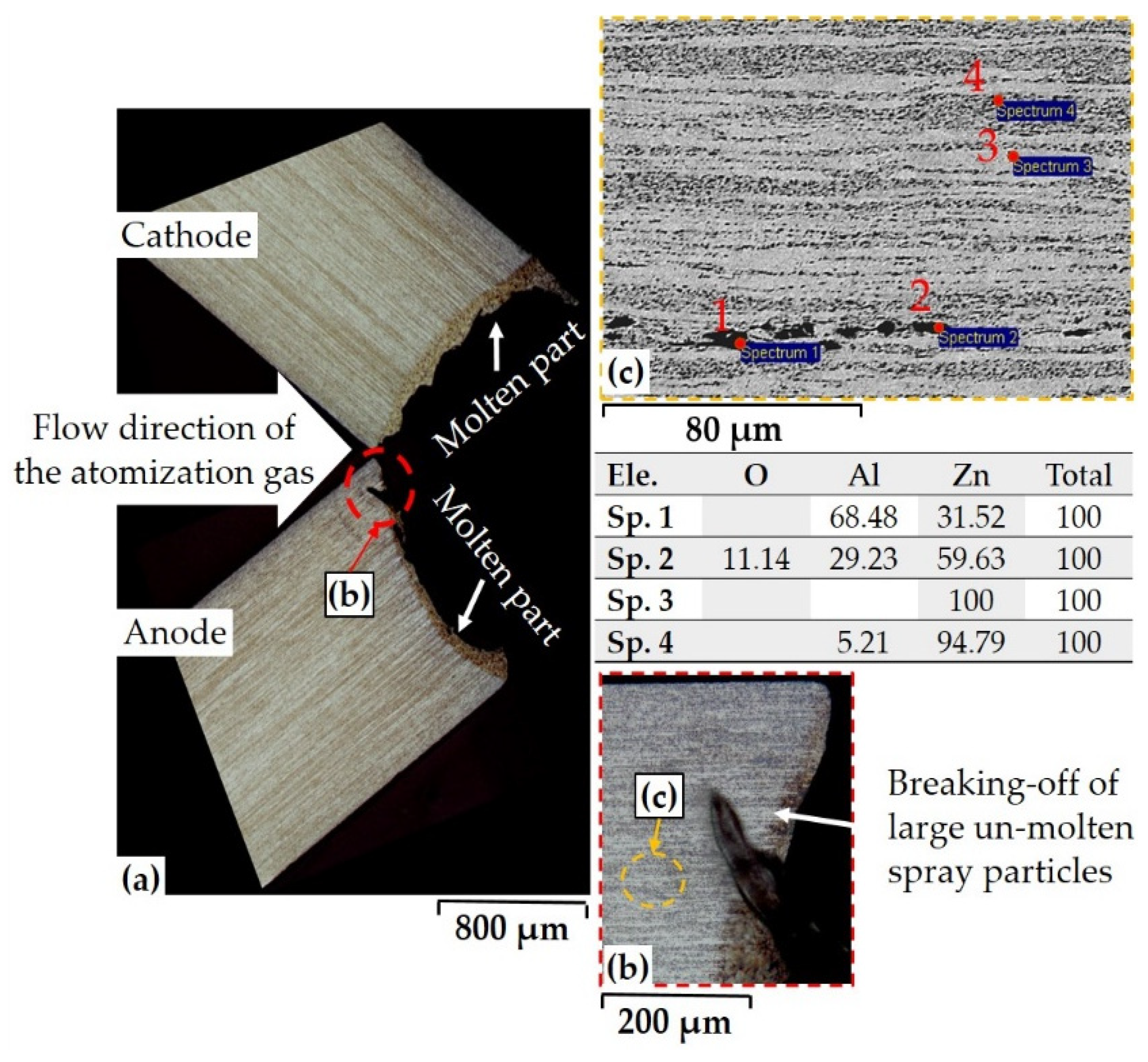 Coatings 12 00032 g005 550