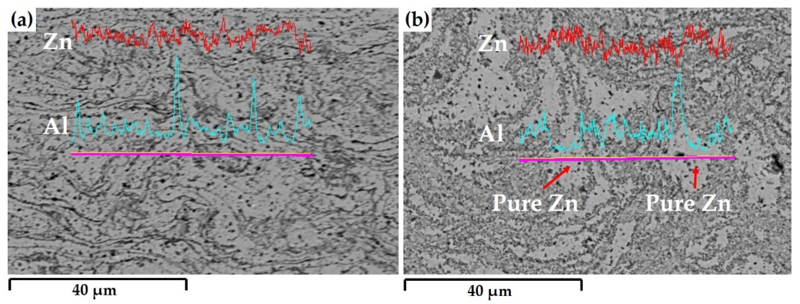 Coatings 12 00032 g007 550