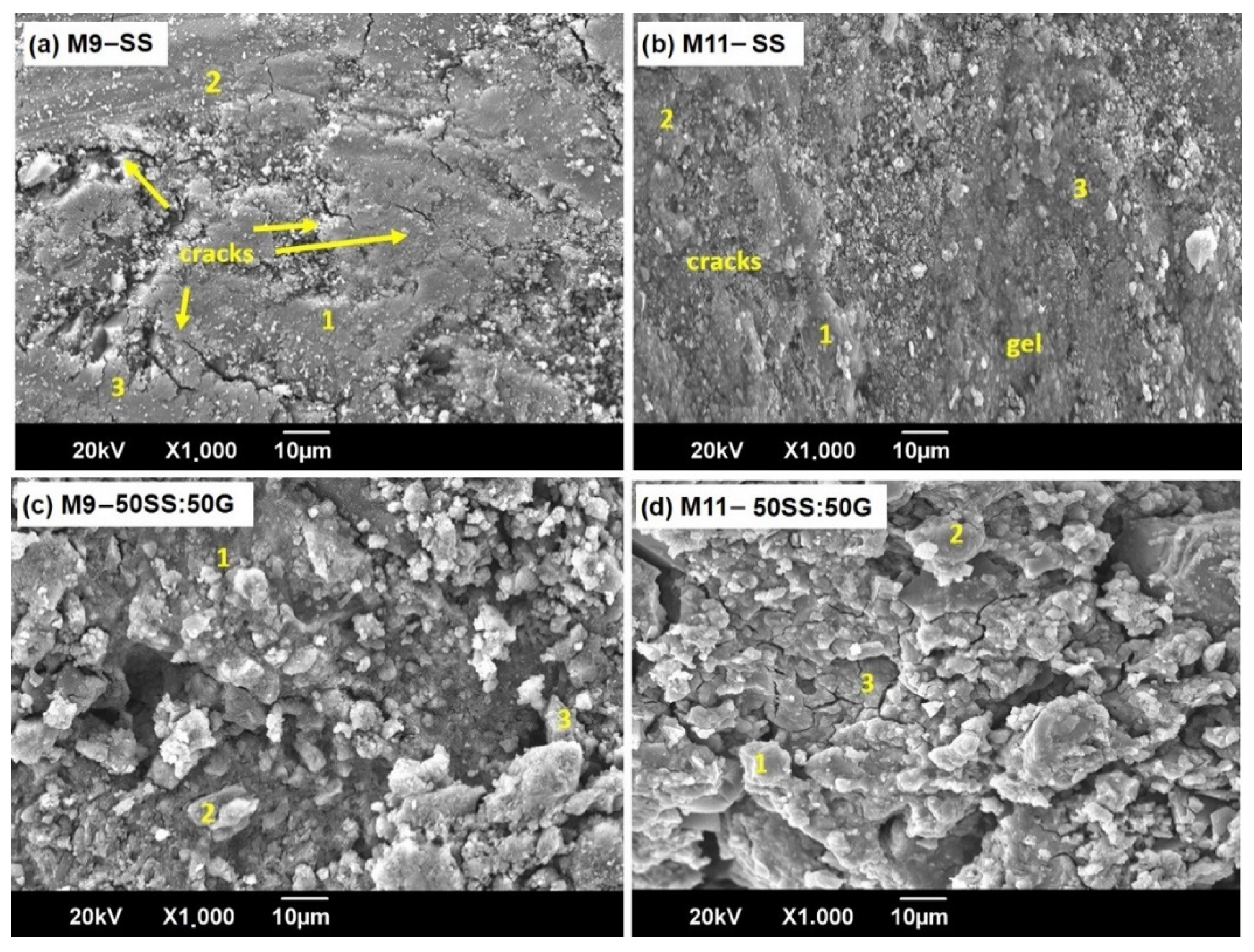 Coatings 12 00035 g005 550